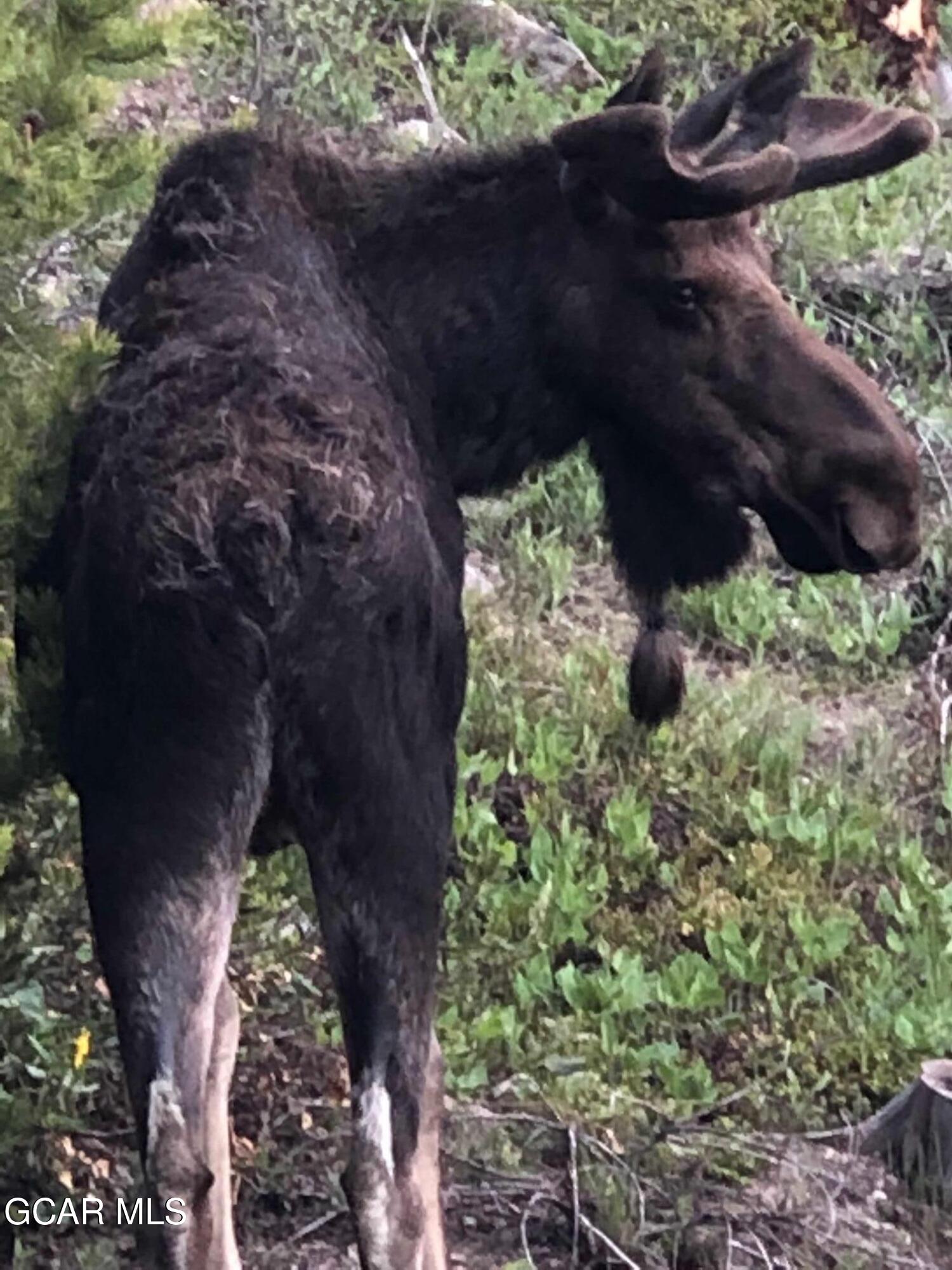 105 GCR 475 Grand Lake CO 80447