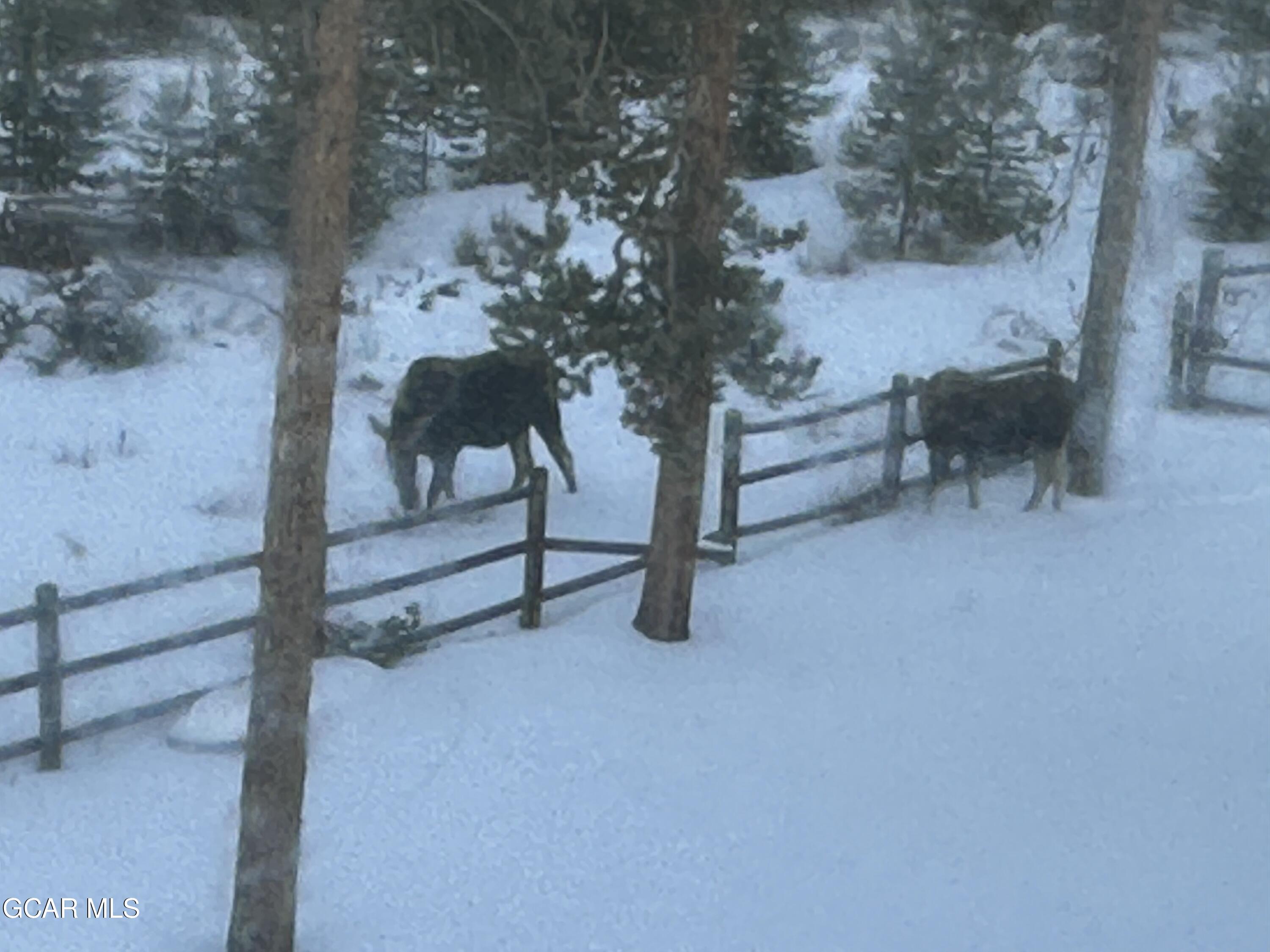 600 GCR 4480 Grand Lake CO 80447