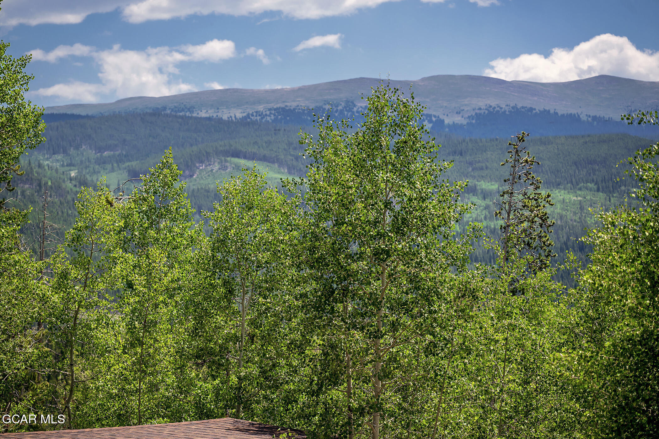 139 Forest Trail Winter Park CO 80482