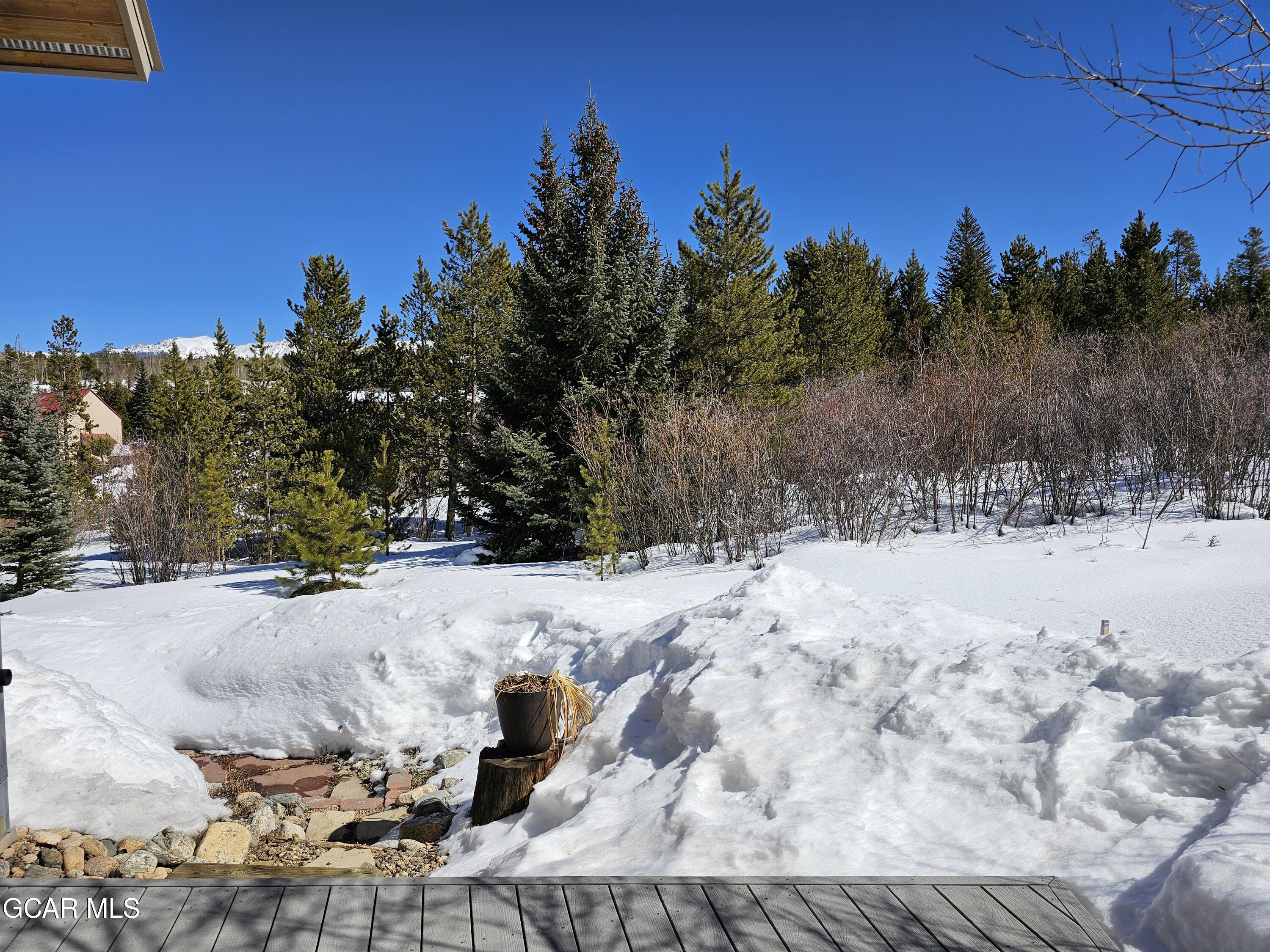 861 Mink Lane Fraser CO 80442