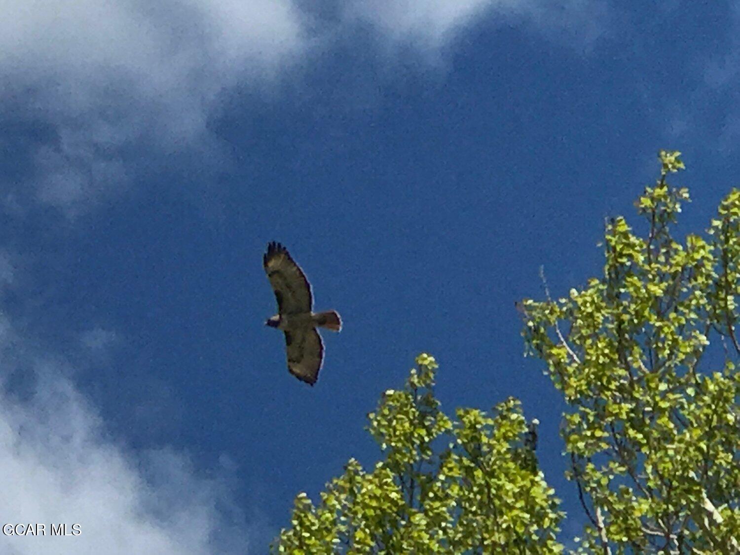 117 Edgewater Circle Granby CO 80446