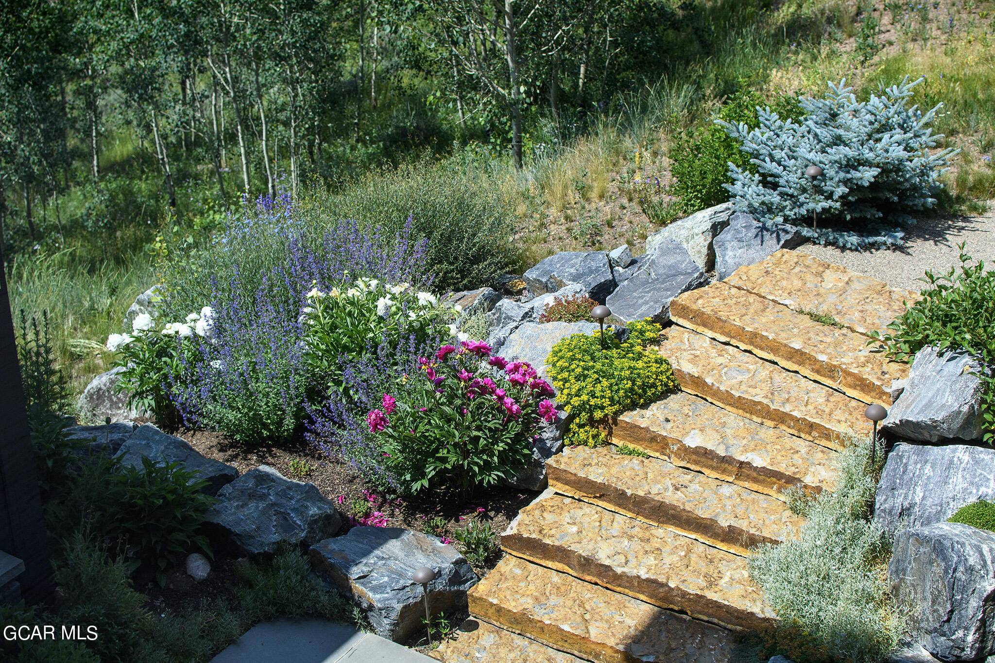 87 Byers View Fraser CO 80442