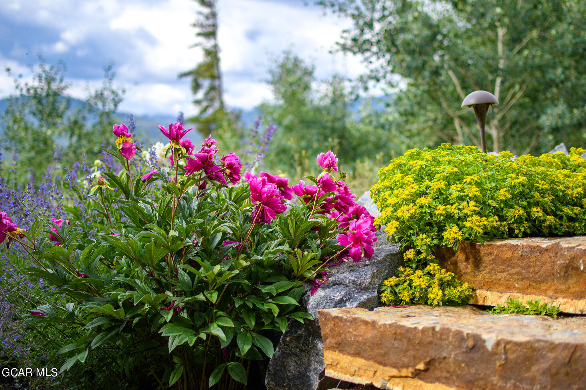 87 Byers View Fraser CO 80442