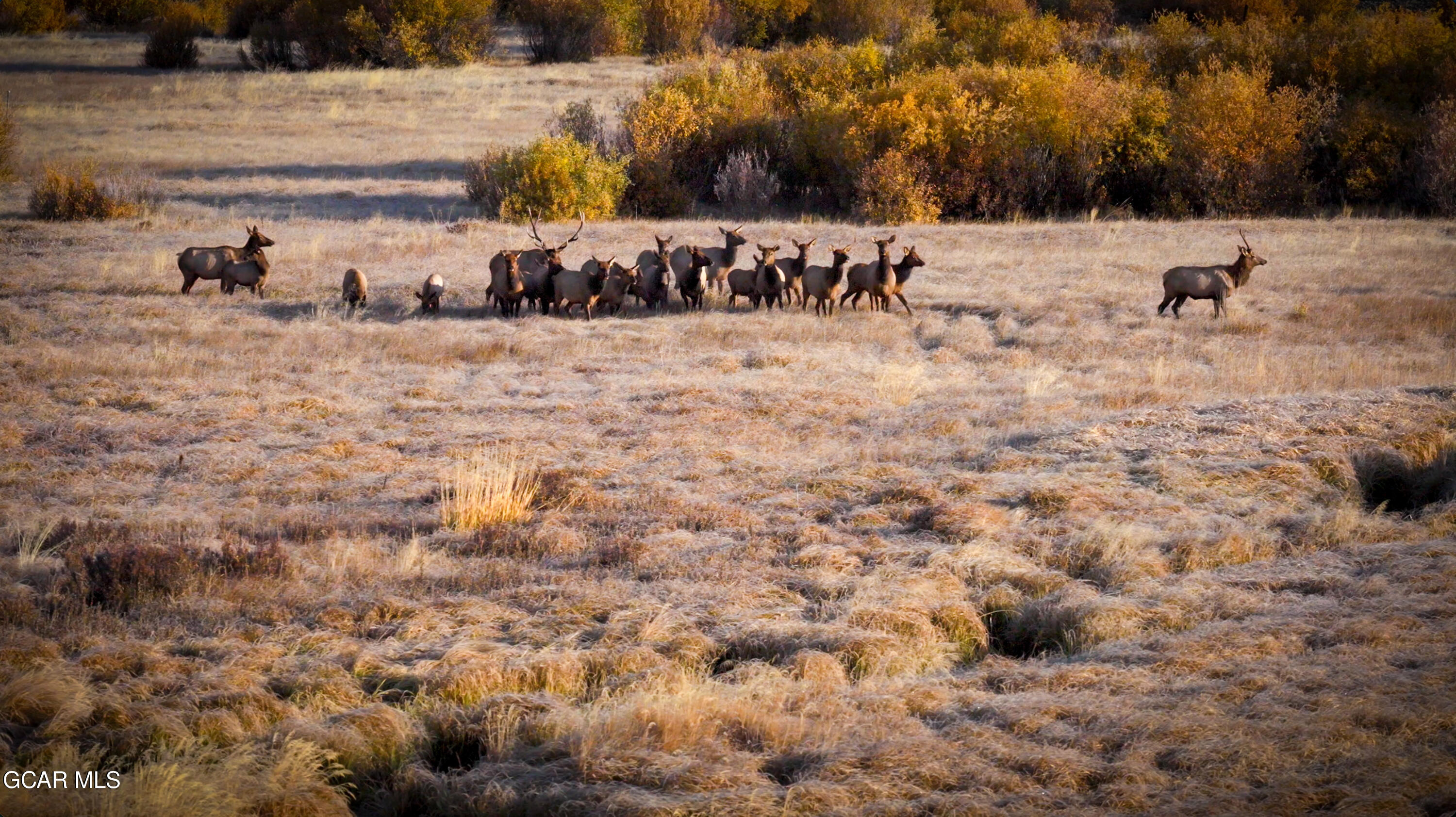 Tbd County Road 57 Granby CO 80446