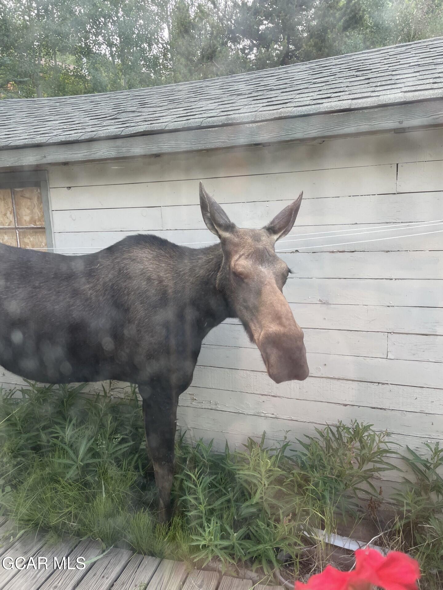 81 GCR 461 Grand Lake CO 80447