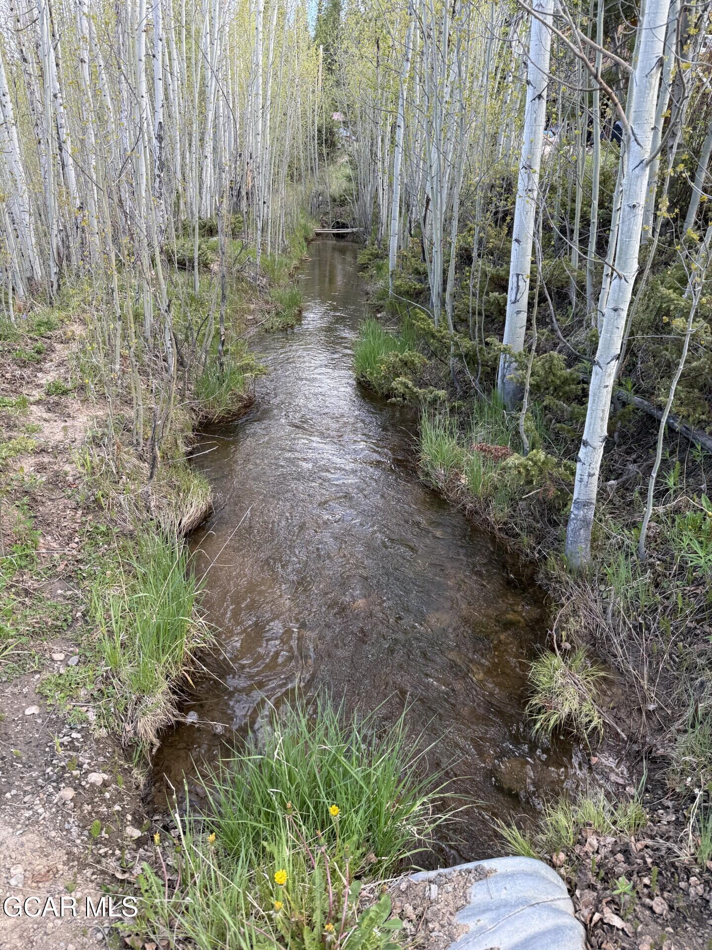 81 GCR 461 Grand Lake CO 80447