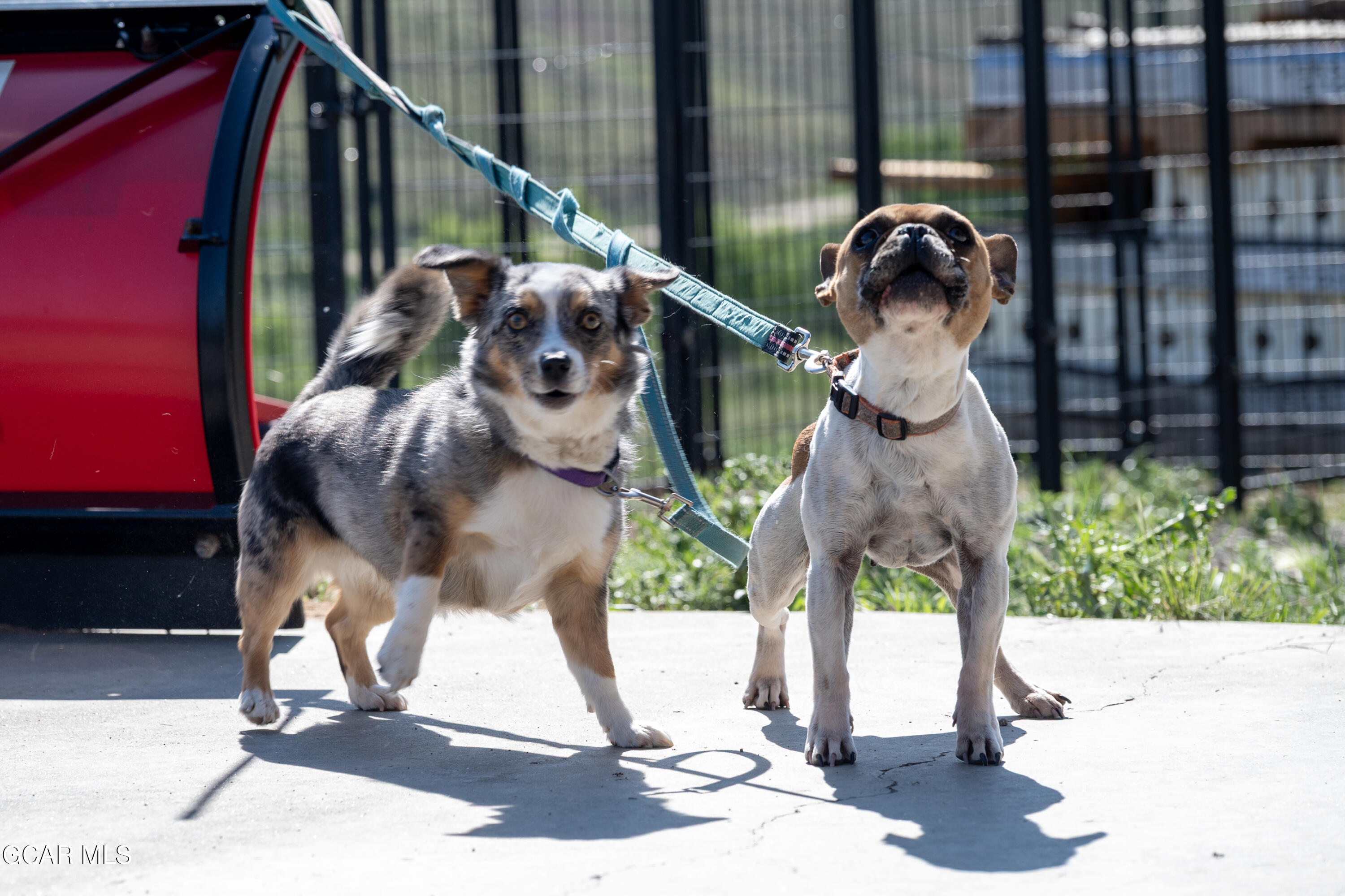 243 GCR 21 Parshall CO 80468