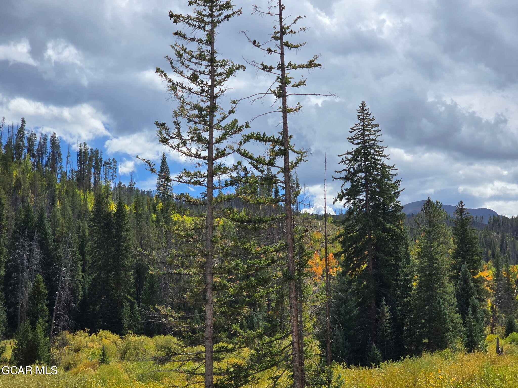 100 Preserve Way Winter Park CO 80482