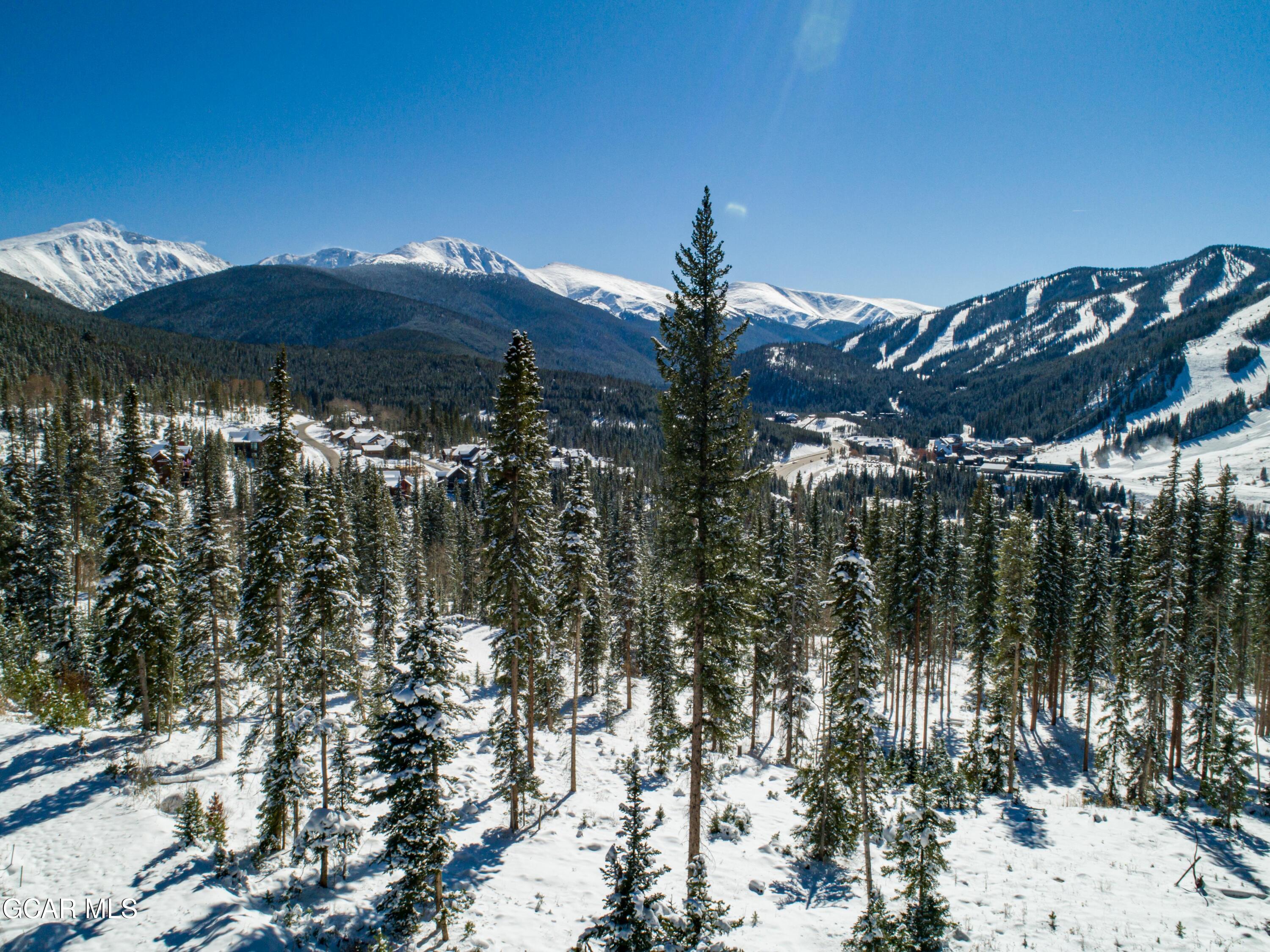 54 Cub Creek Way Winter Park CO 80482
