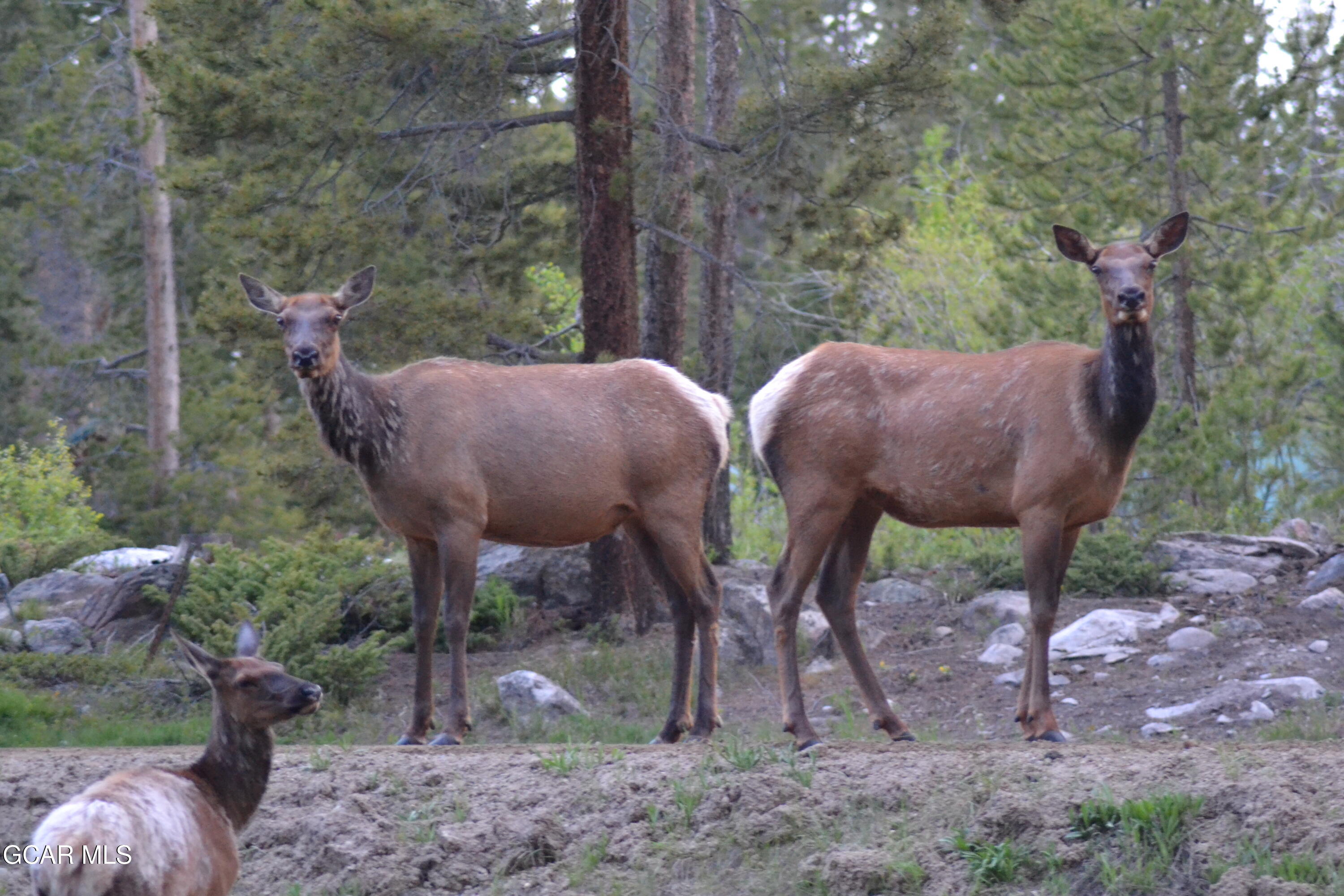 656 GCR 465 Grand Lake CO 80447