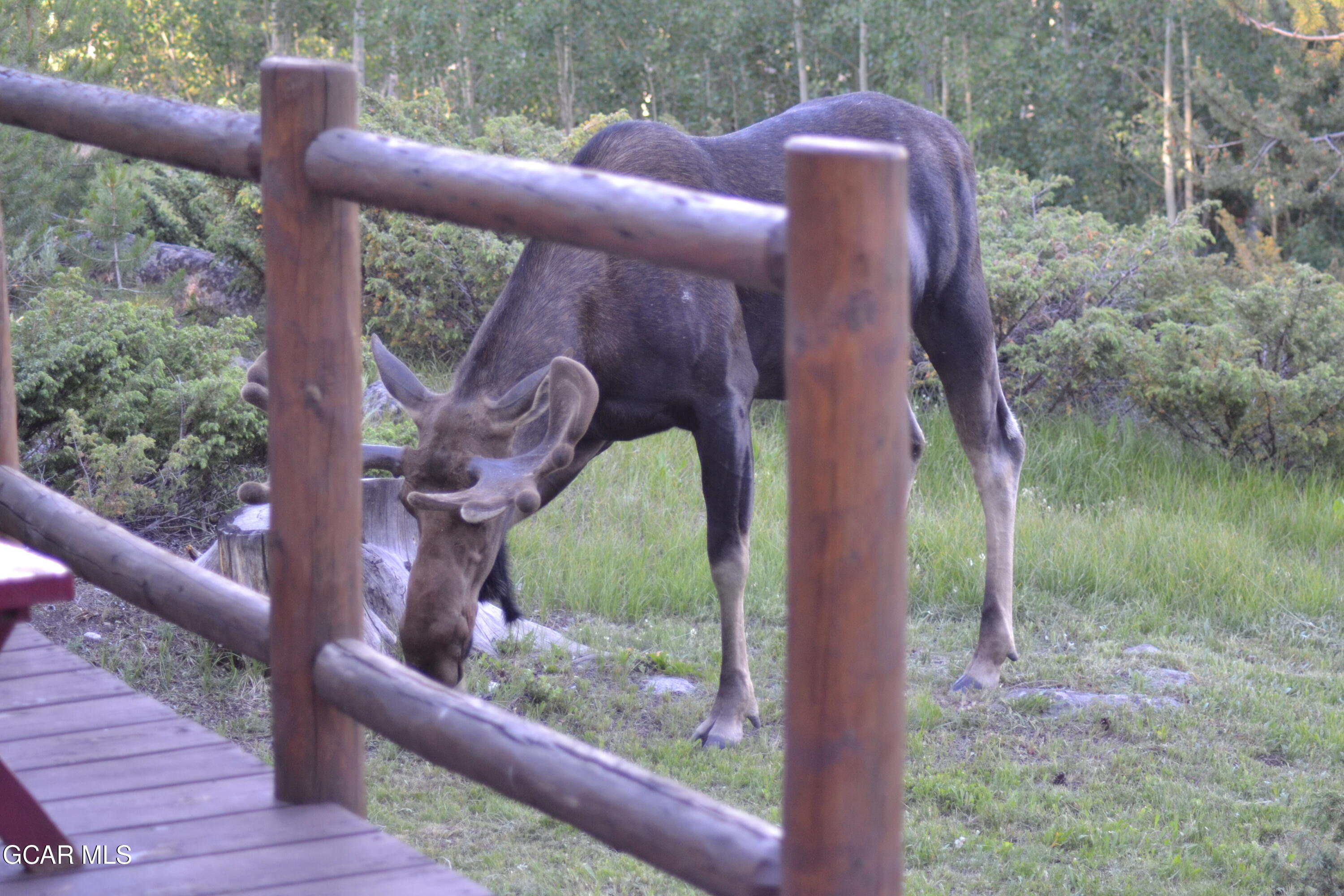656 GCR 465 Grand Lake CO 80447
