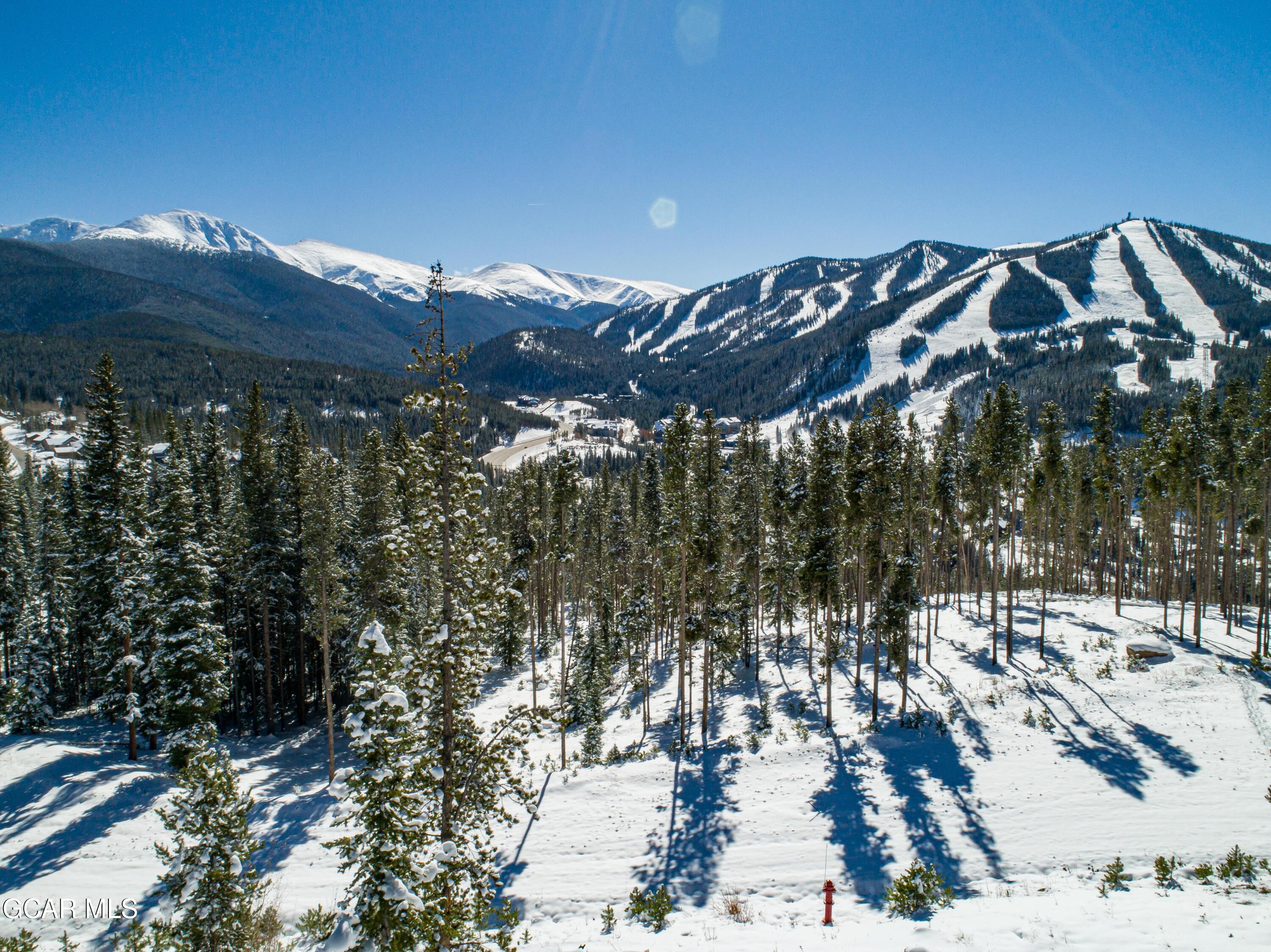 40 Cub Creek Way Winter Park CO 80482