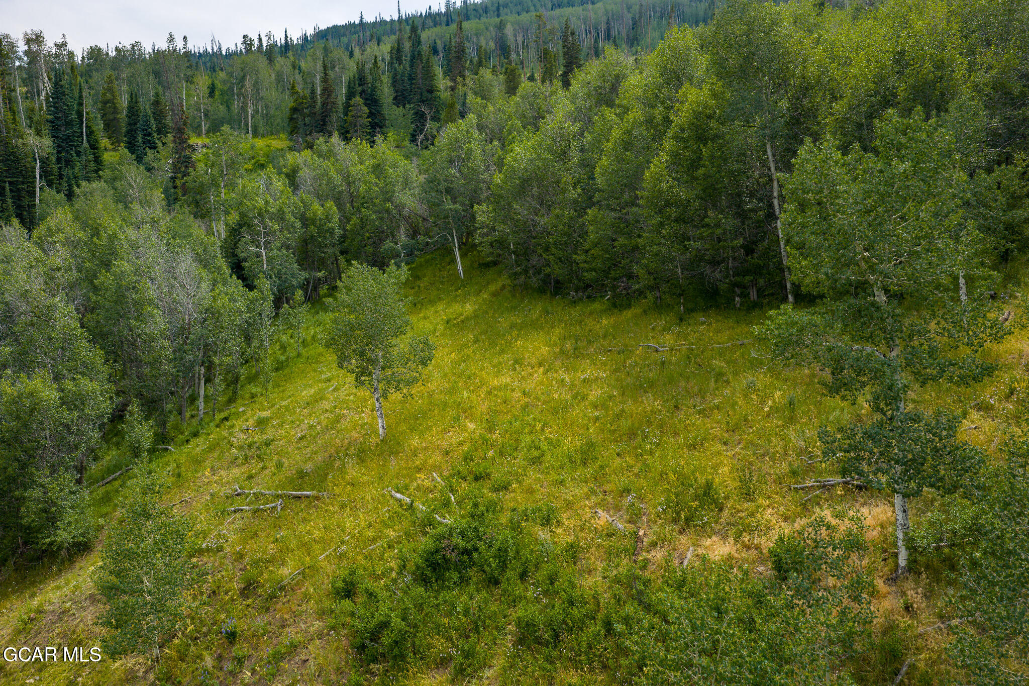 3956 GCR 56 Granby CO 80446