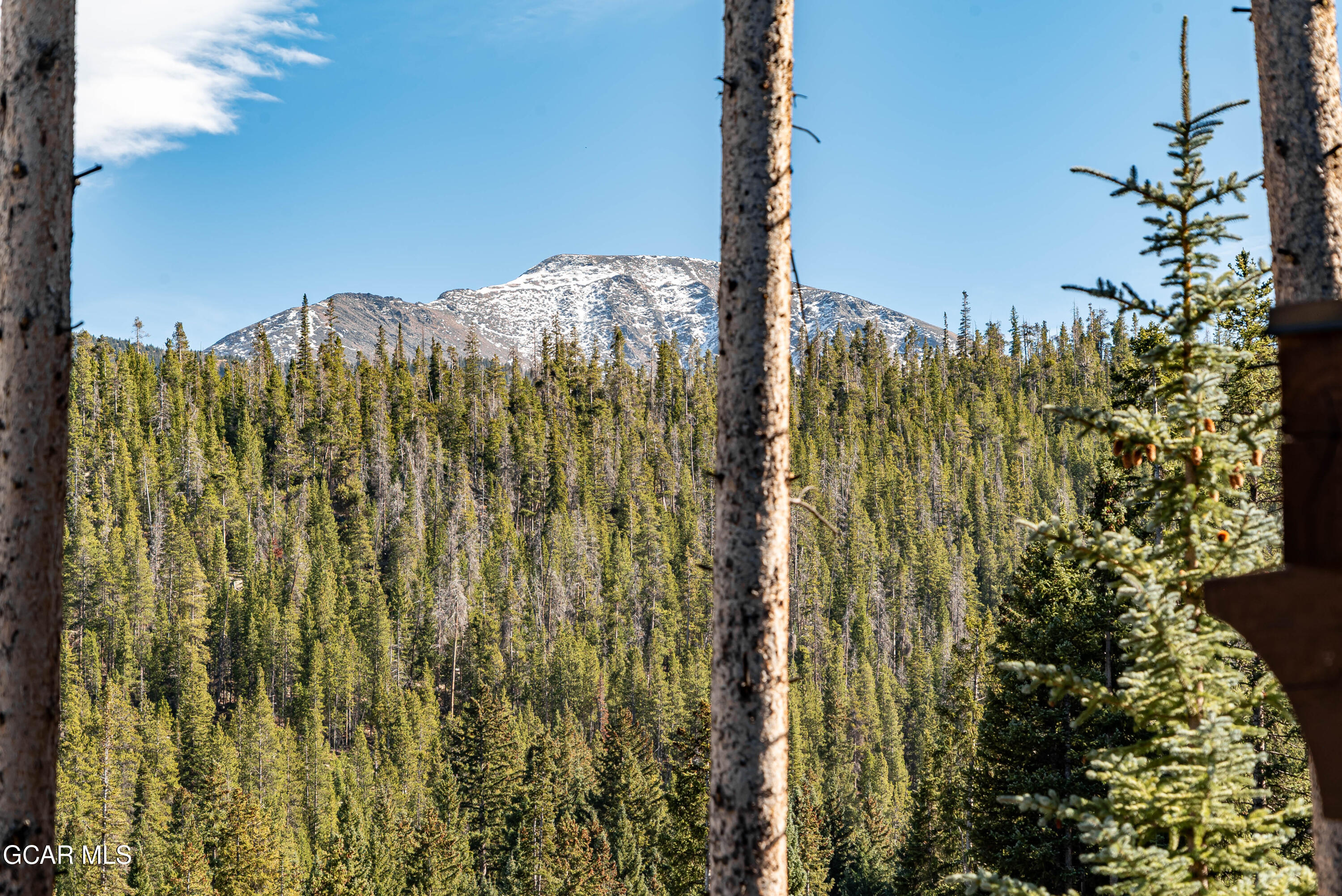 233 Bridger Trail Winter Park CO 80482