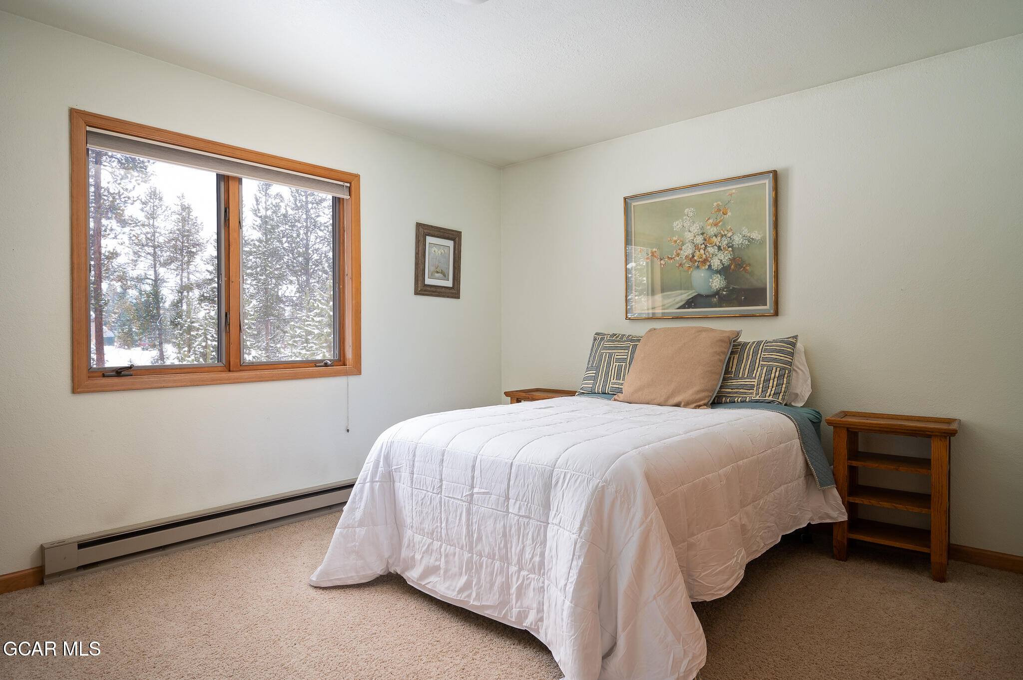 255 GCR 504/michael Road Fraser CO 80442