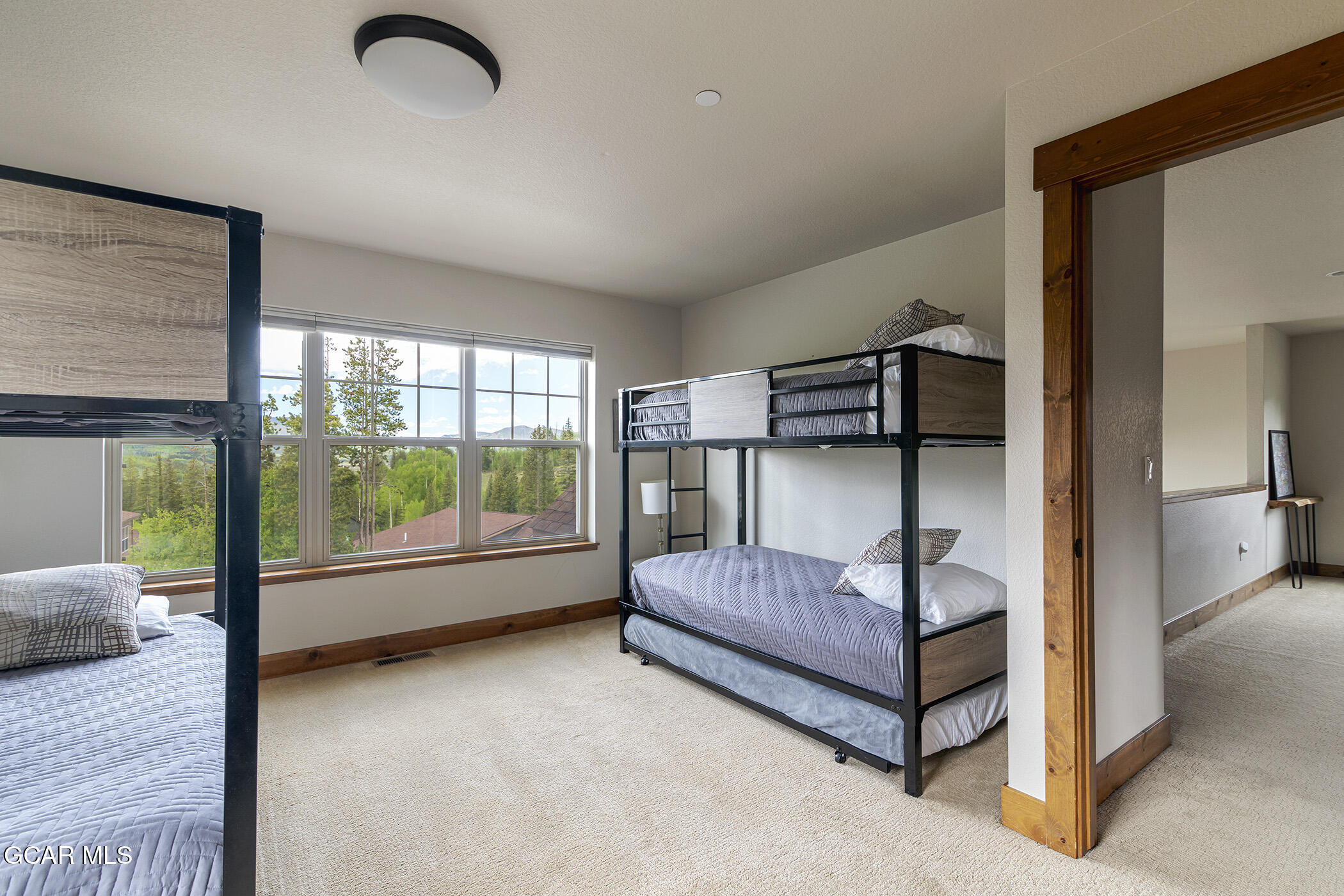 60 Moose Horn Court Fraser CO 80442