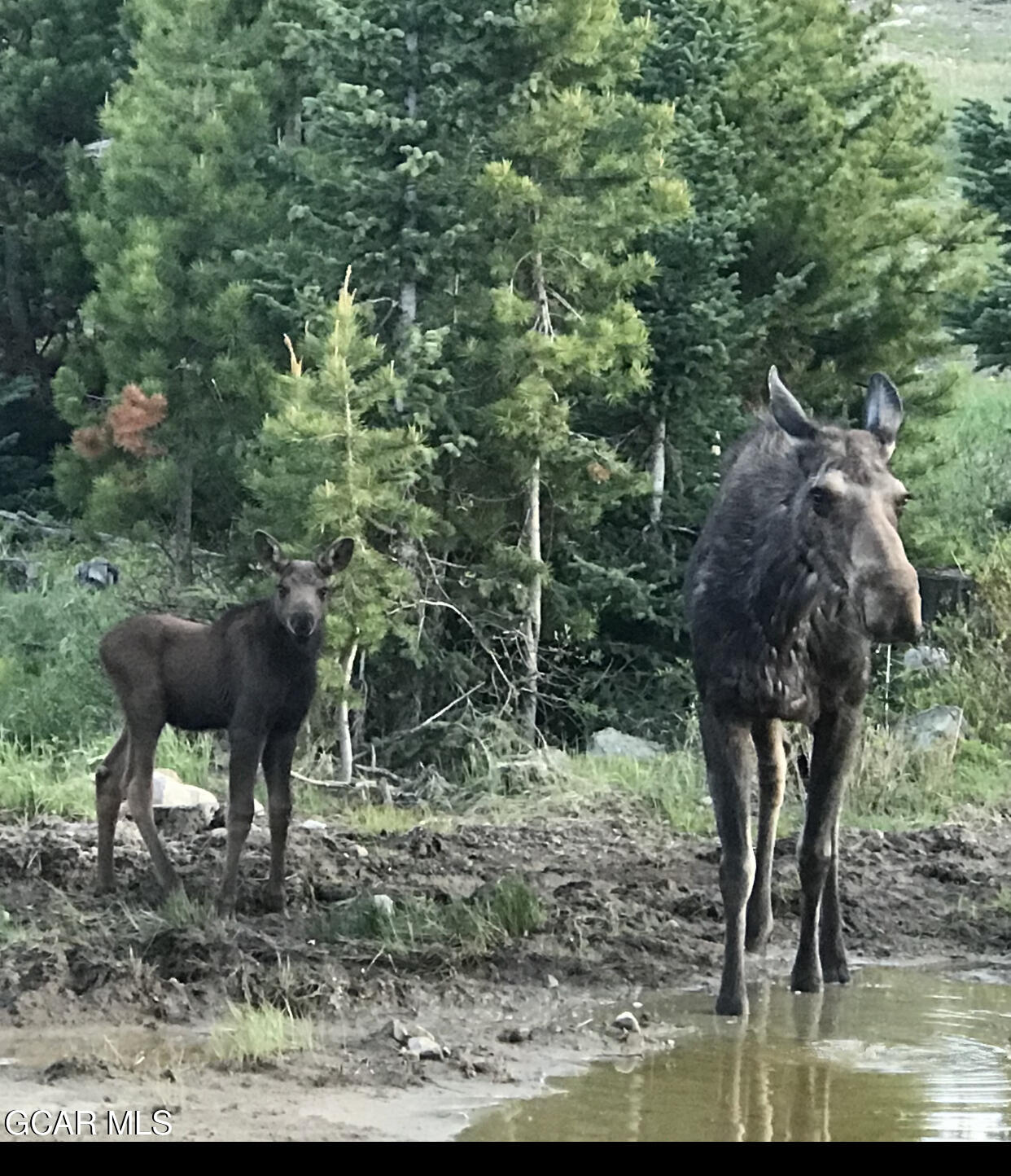 223 GCR 4980 Grand Lake CO 80447