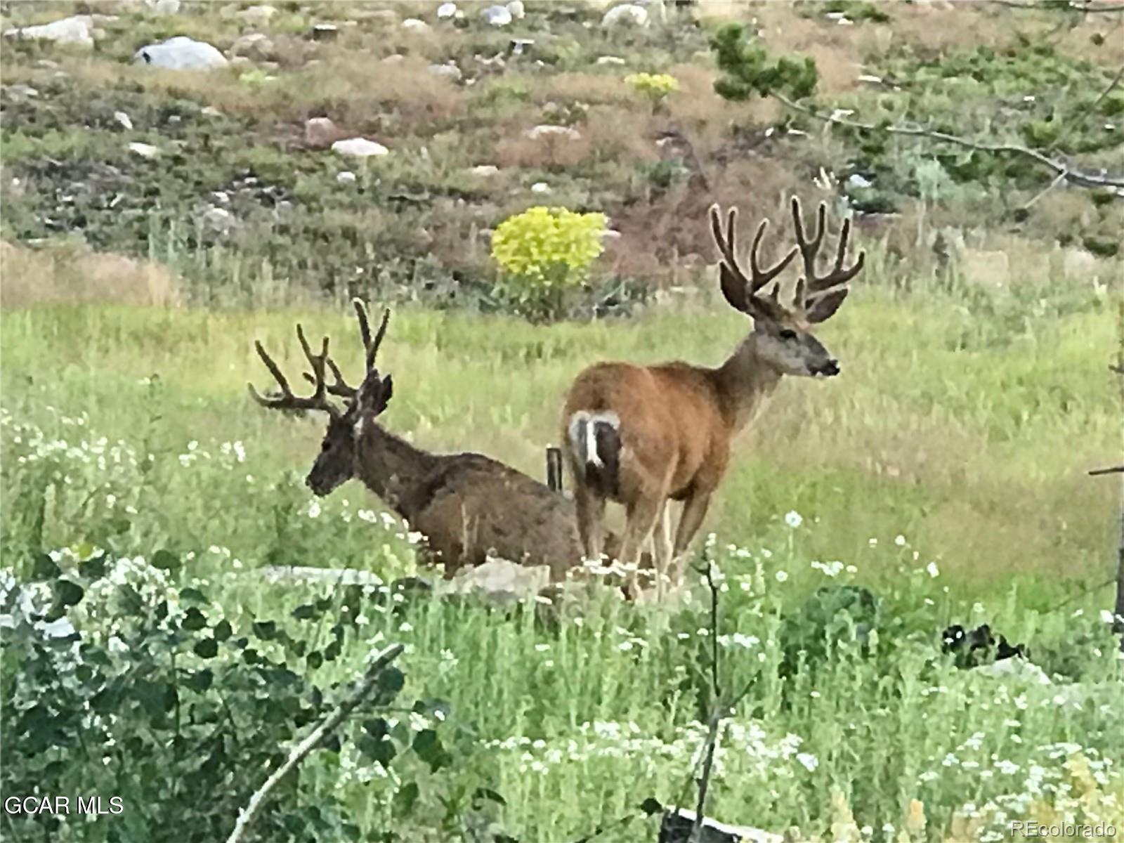 223 GCR 4980 Grand Lake CO 80447