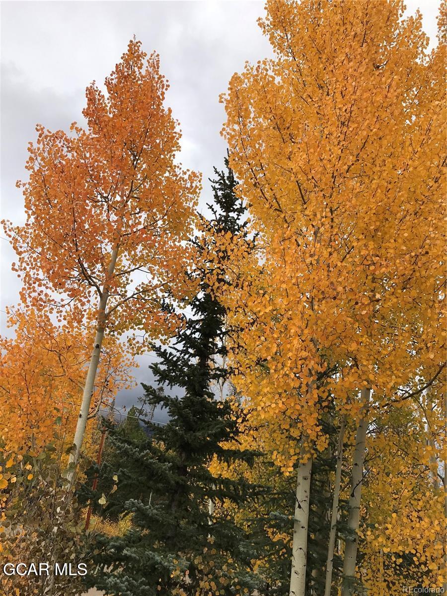 223 GCR 4980 Grand Lake CO 80447