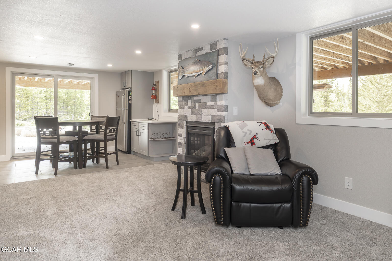 675 GCR 462 Grand Lake CO 80447