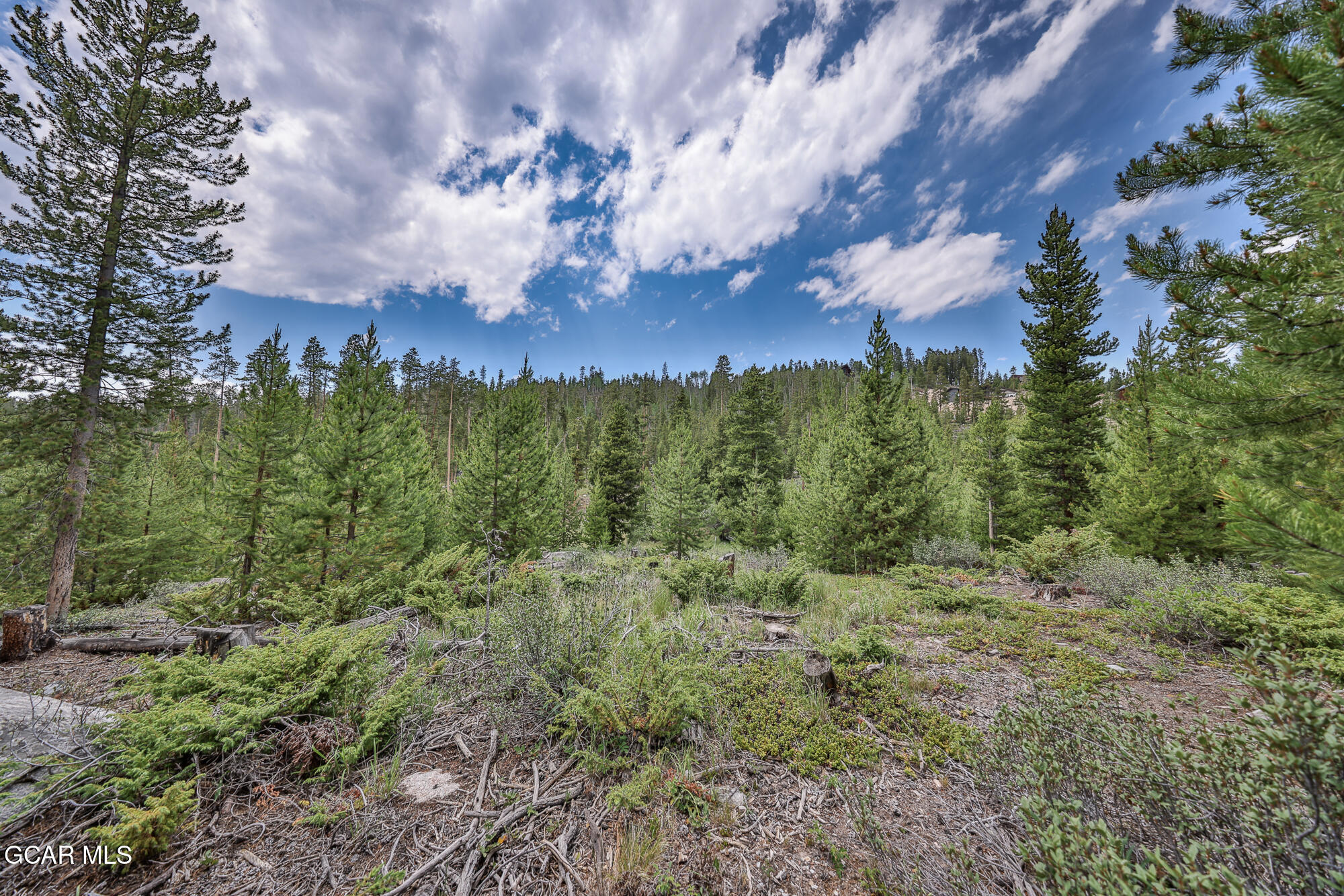 45 County Road 4692 Grand Lake CO 80447