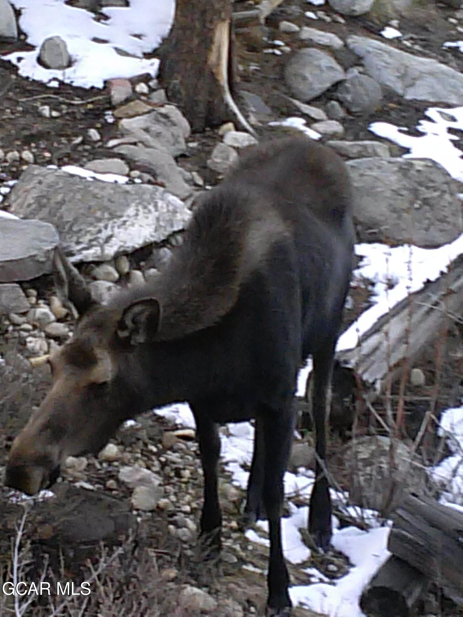 222 & 236 GCR 469 Grand Lake CO 80447