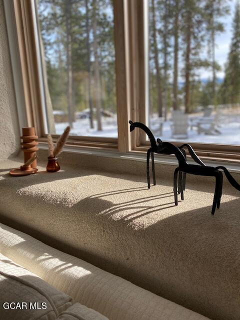 210 GCR 509 (aka Polar Bear Lane) Fraser CO 80442