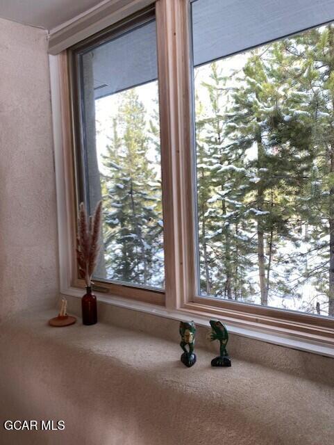 210 GCR 509 (aka Polar Bear Lane) Fraser CO 80442