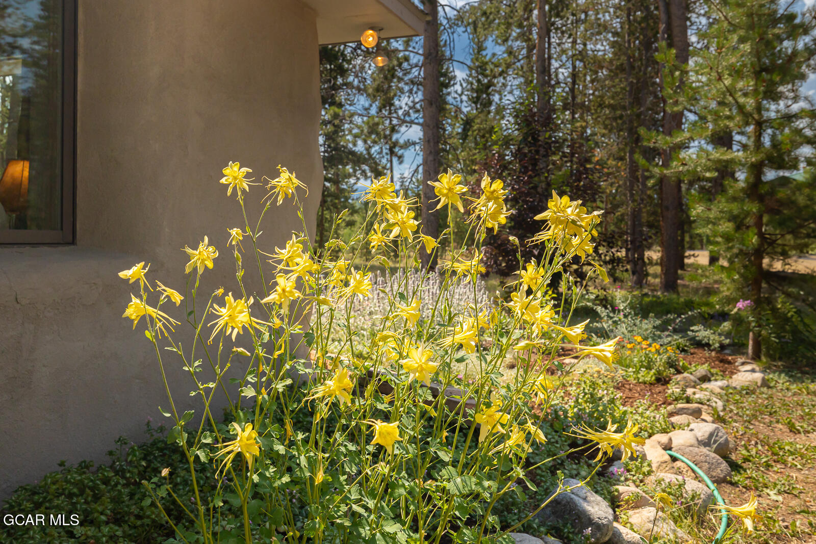 210 GCR 509 (aka Polar Bear Lane) Fraser CO 80442