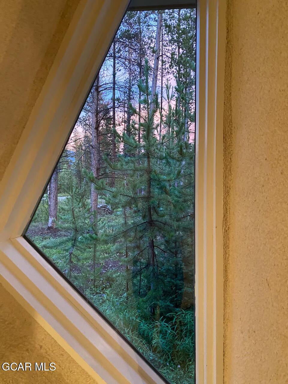 210 GCR 509 (aka Polar Bear Lane) Fraser CO 80442