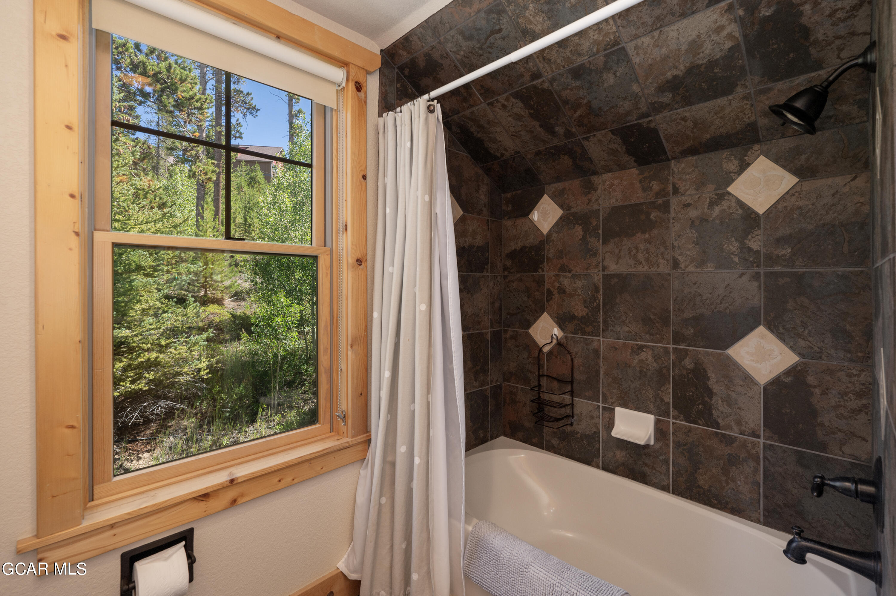 60 Campfire Fraser CO 80442