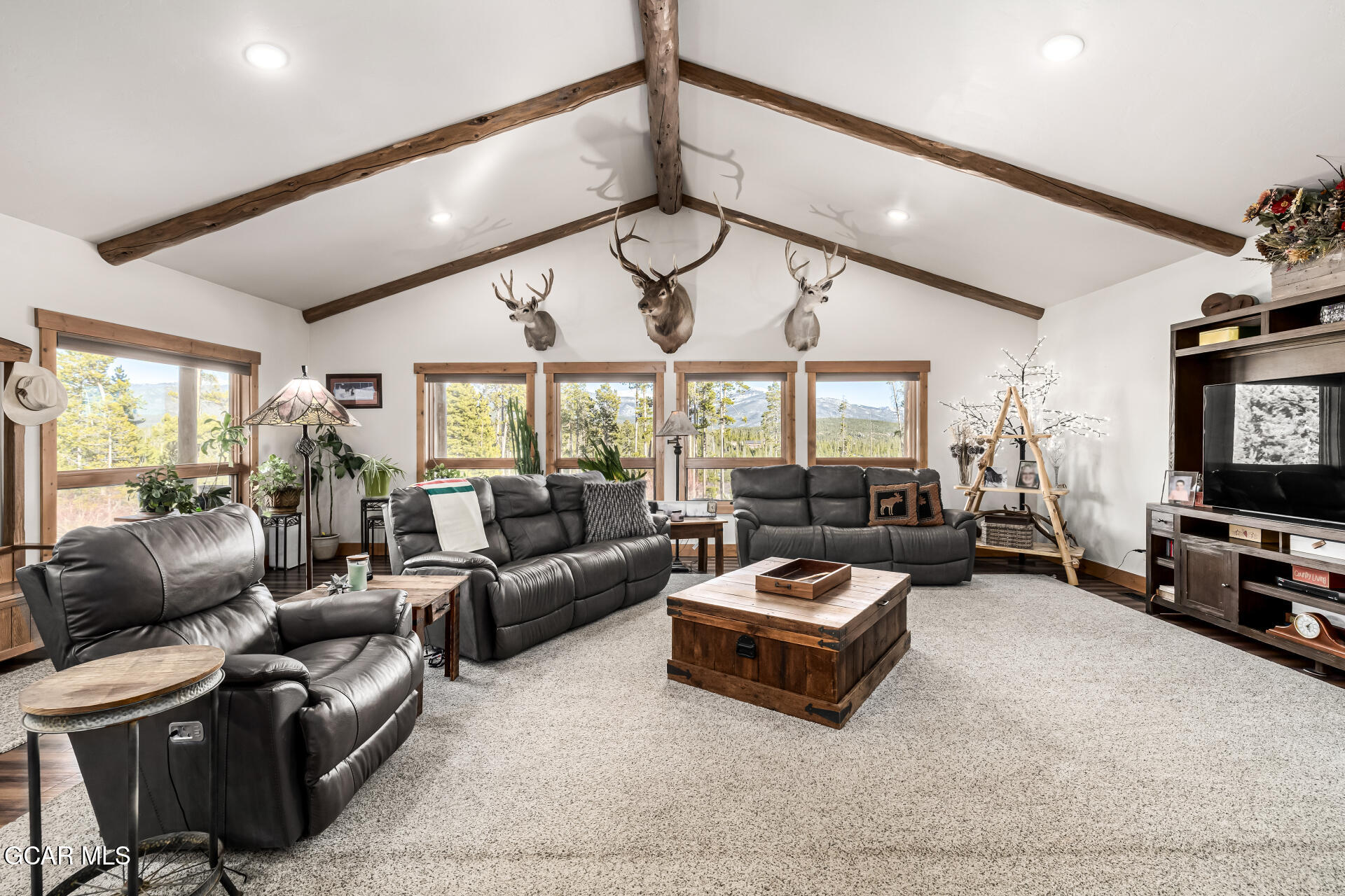 1175 GCR 442 Grand Lake CO 80447