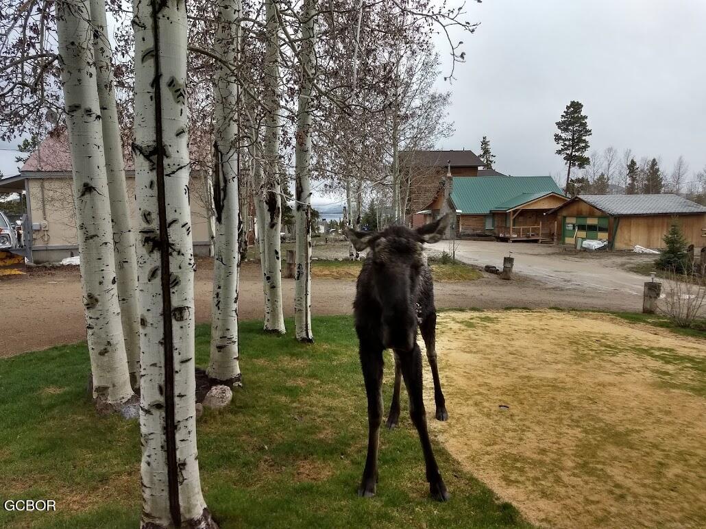 10118 Us Highway 34 Grand Lake CO 80447