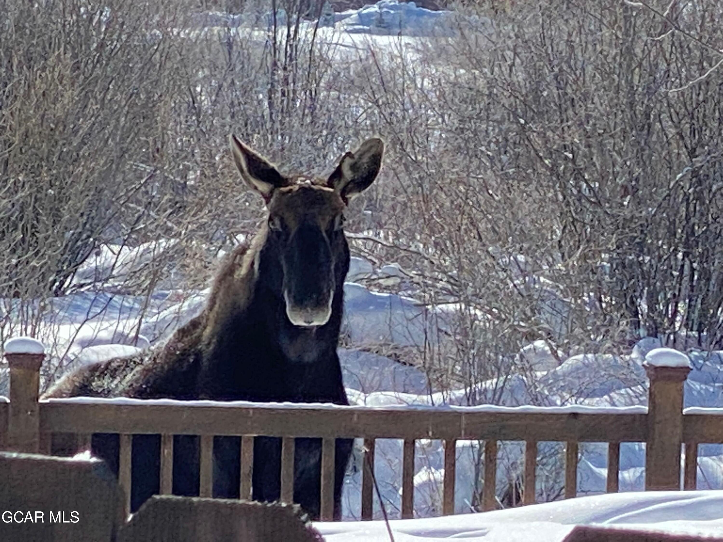 102 Edgewater Drive Granby CO 80446