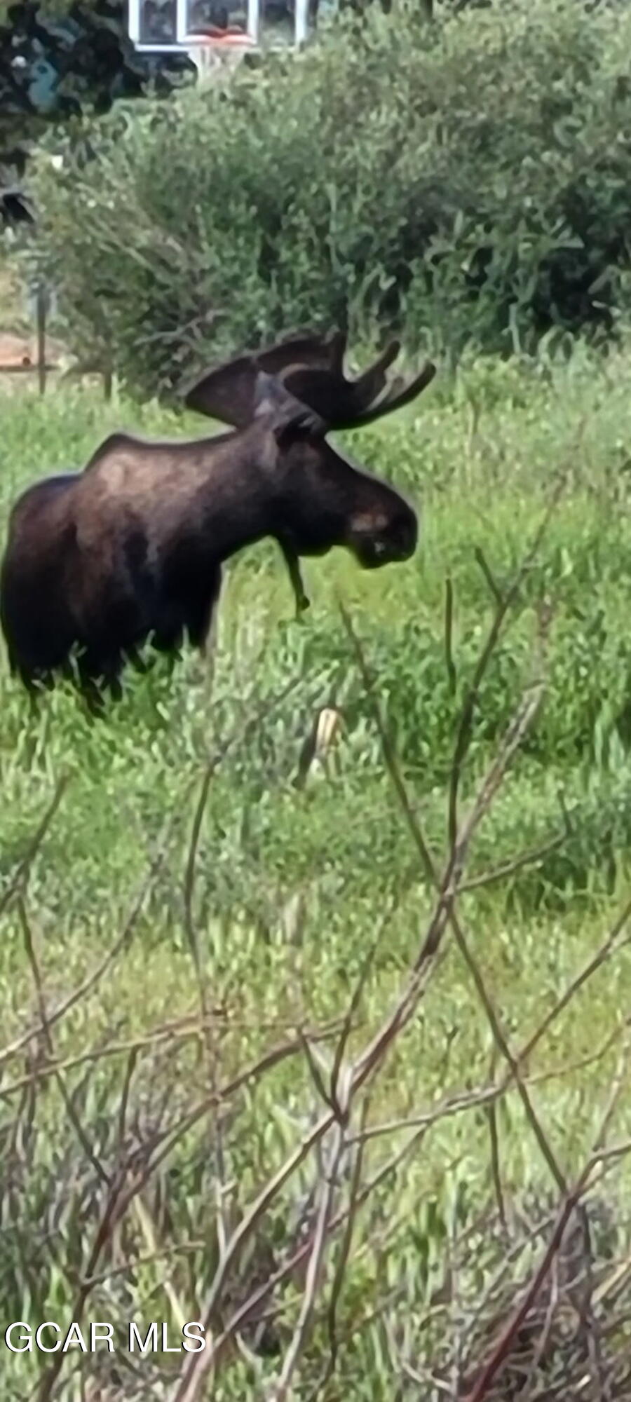 39 GCR 48 Grand Lake CO 80447