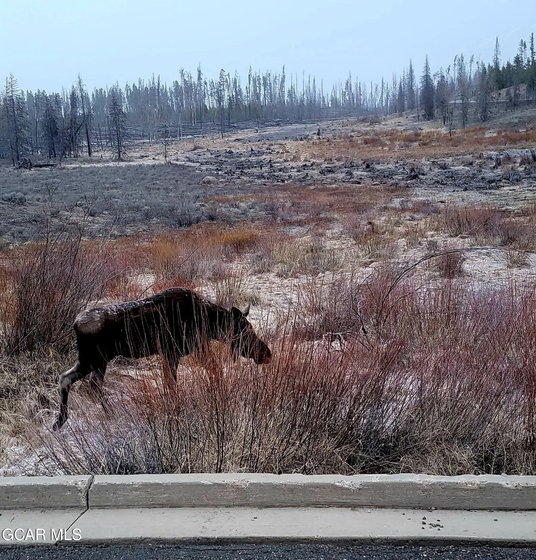 39 GCR 48 Grand Lake CO 80447