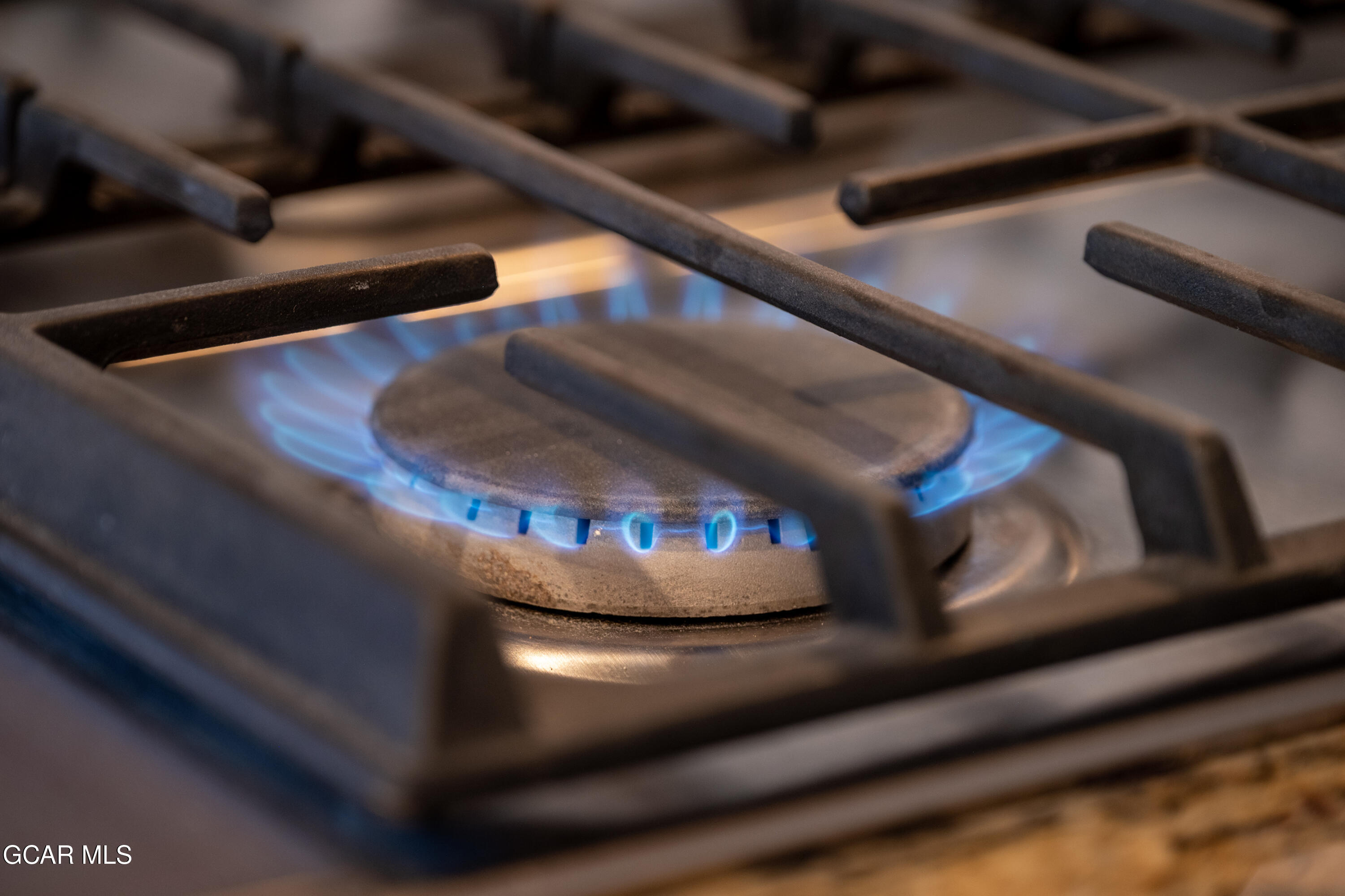 80 Moose Horn Court Fraser CO 80442