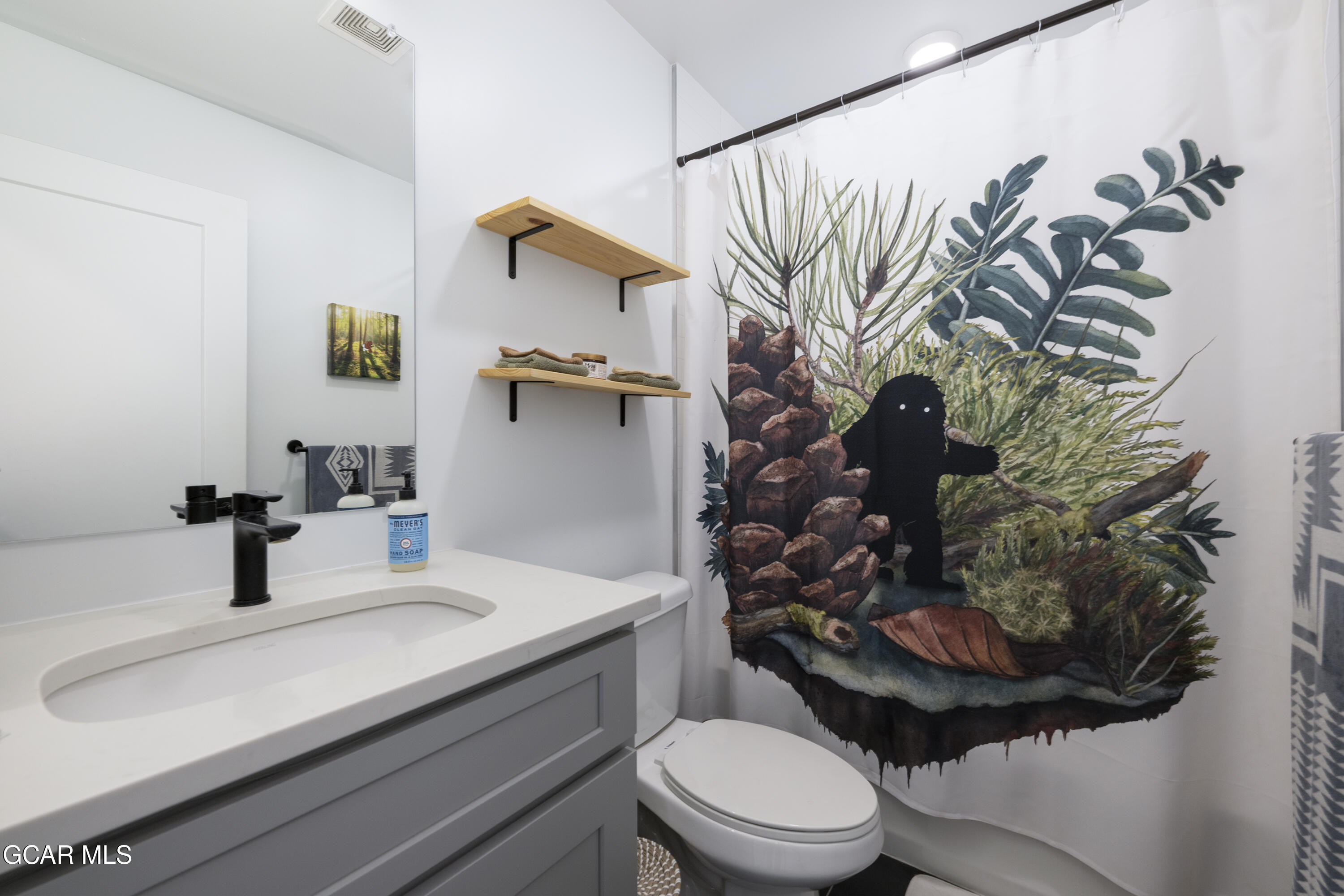 406 North Zerex Street Fraser CO 80442