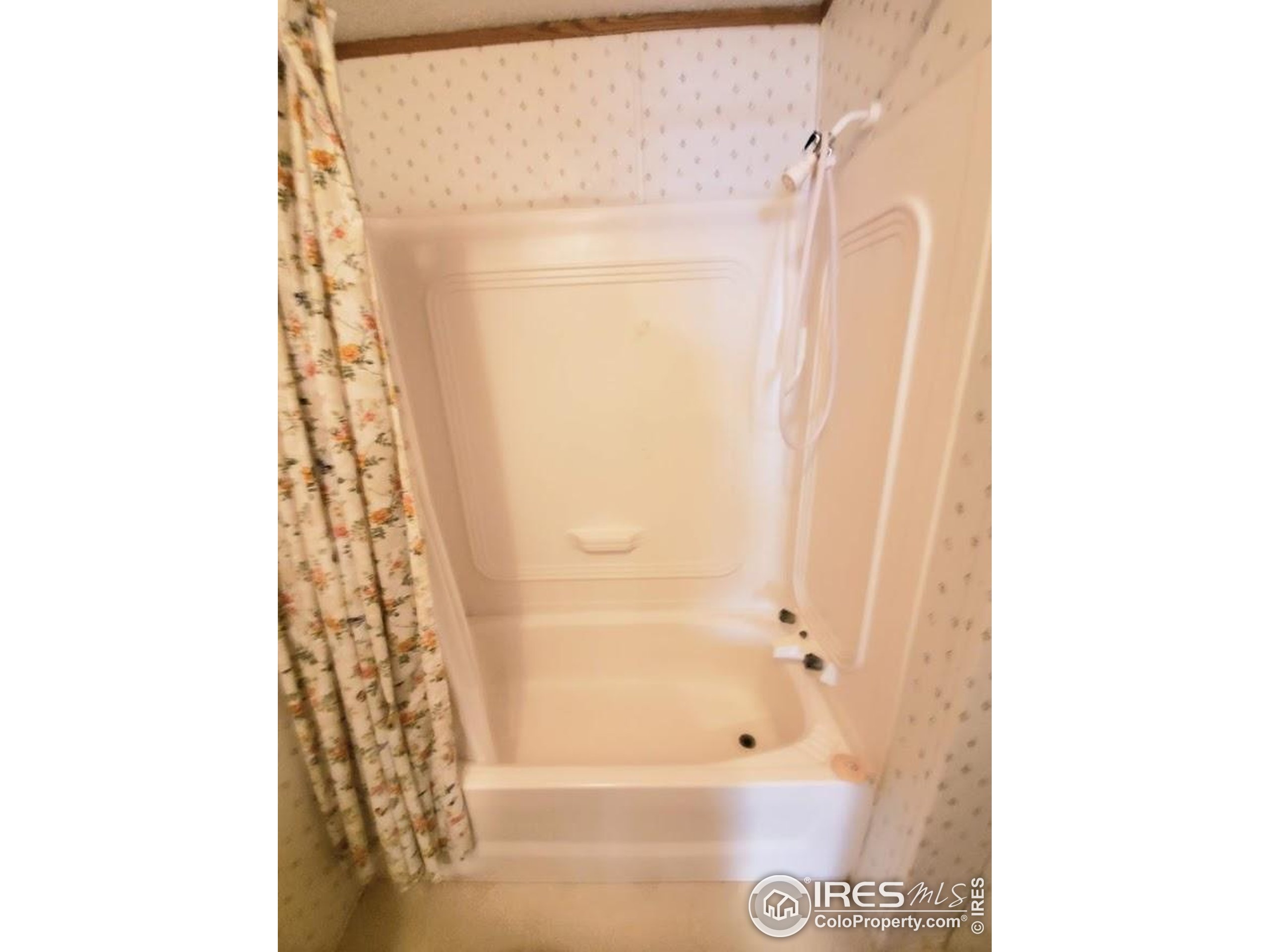 1166 Madison Avenue Loveland CO 80537