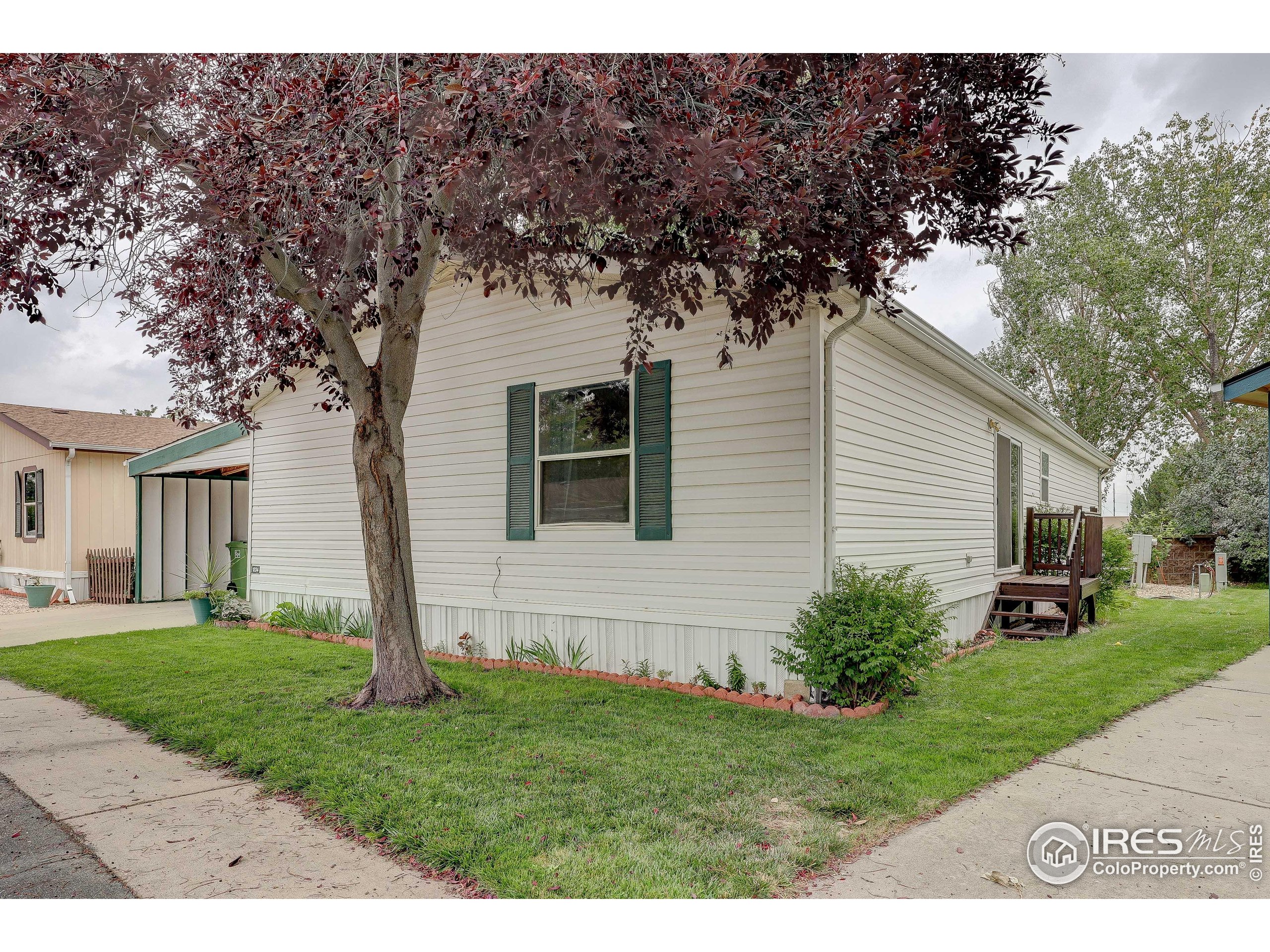 1234 Limestone Avenue Loveland CO 80537