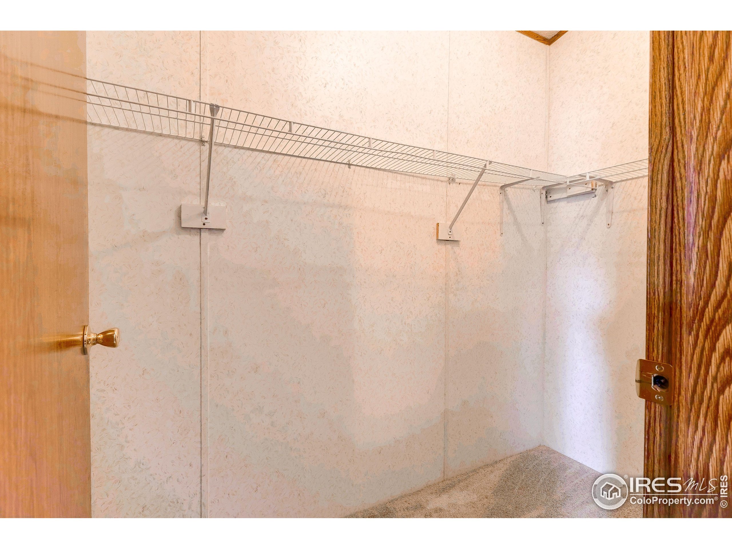 1234 Limestone Avenue Loveland CO 80537