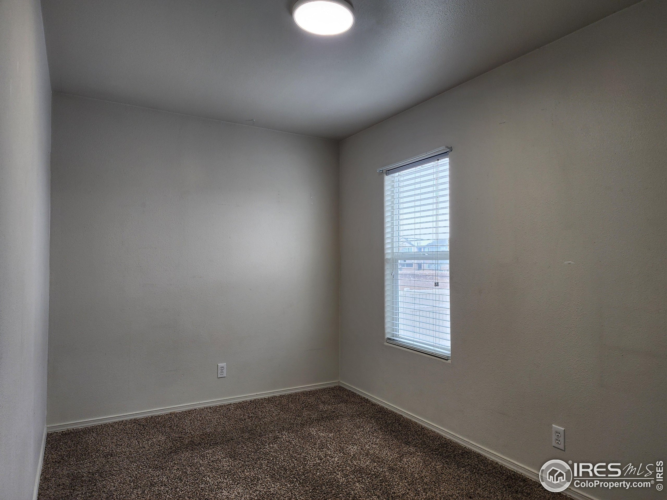 10639 Ashwood Street Firestone CO 80504