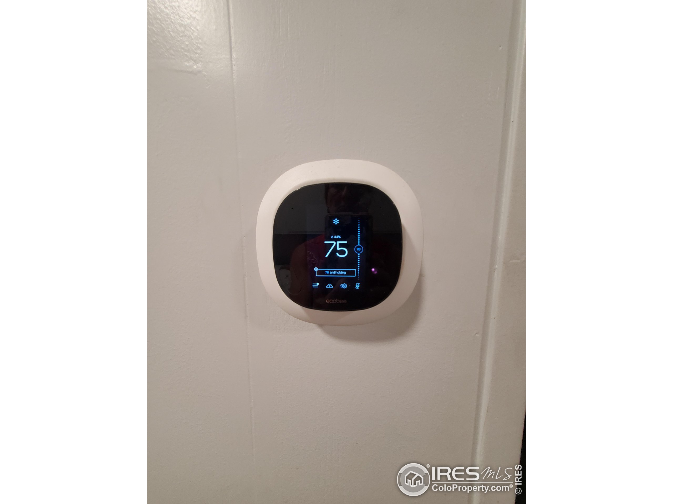 1166 Madison Avenue Loveland CO 80537