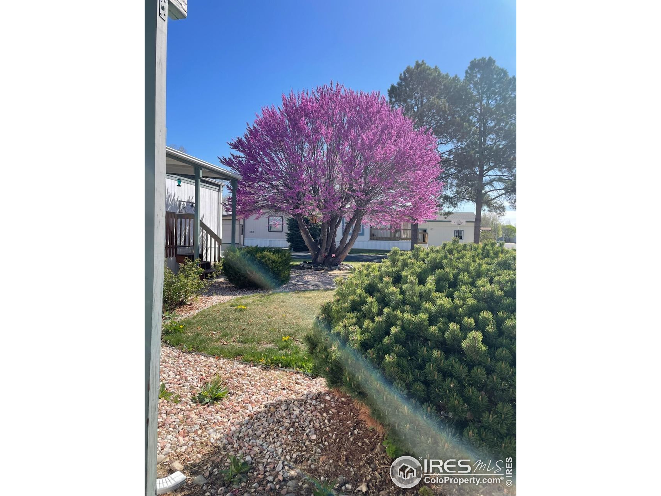 1166 Madison Avenue Loveland CO 80537