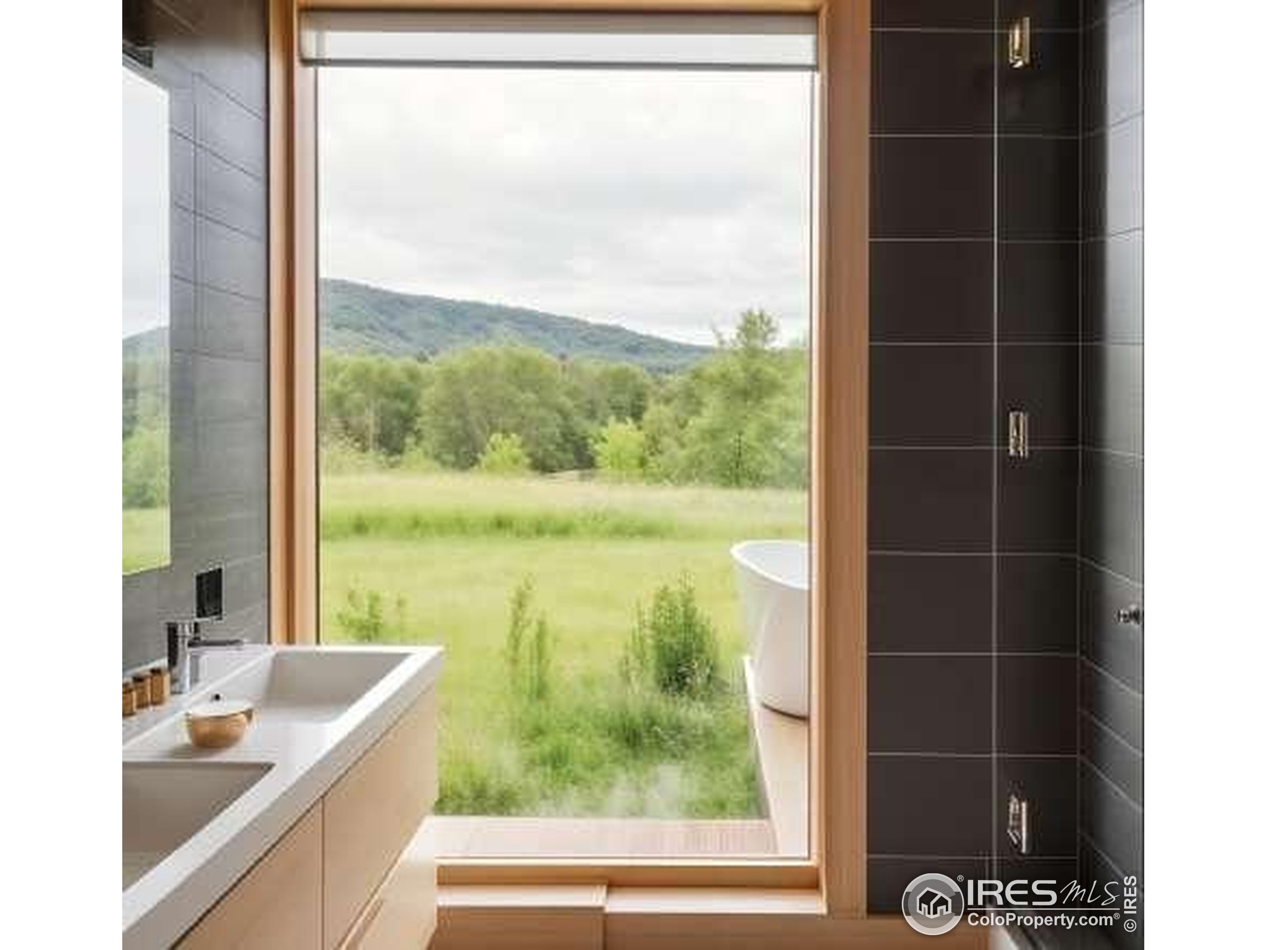 0 Tbd Loveland CO 80538