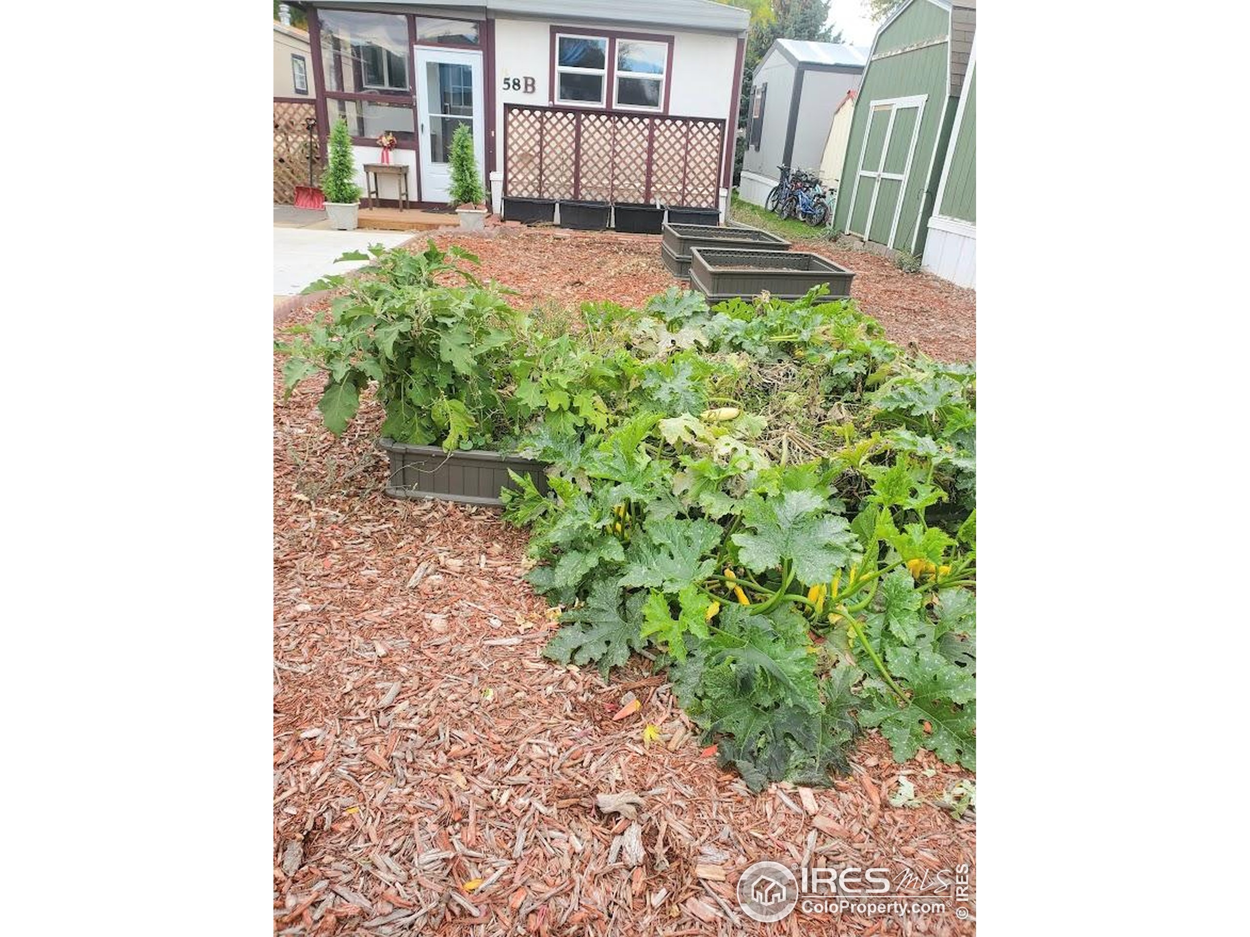 221 W 57th Street Loveland CO 80538