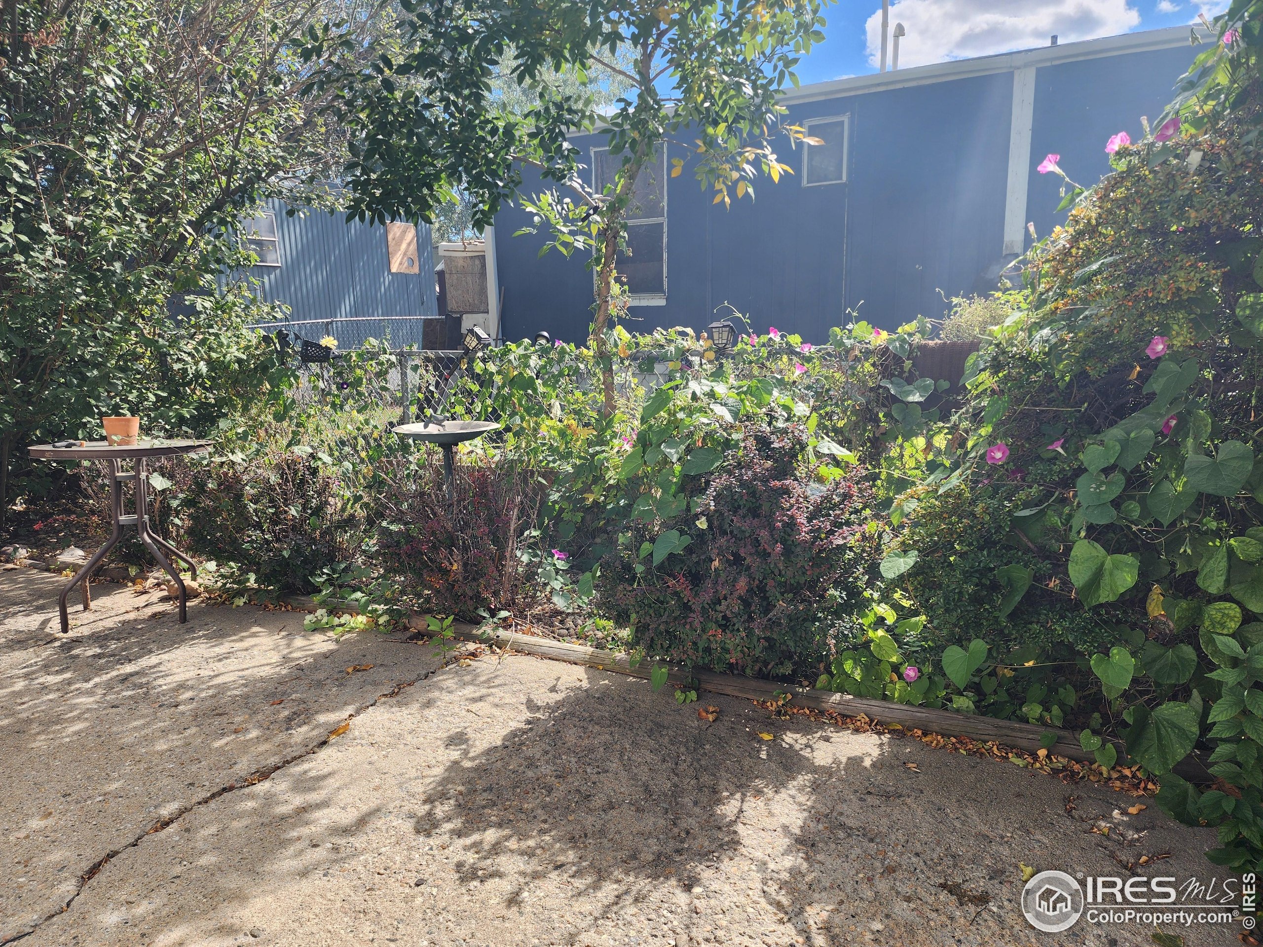 1400 S Collyer Street Longmont CO 80501