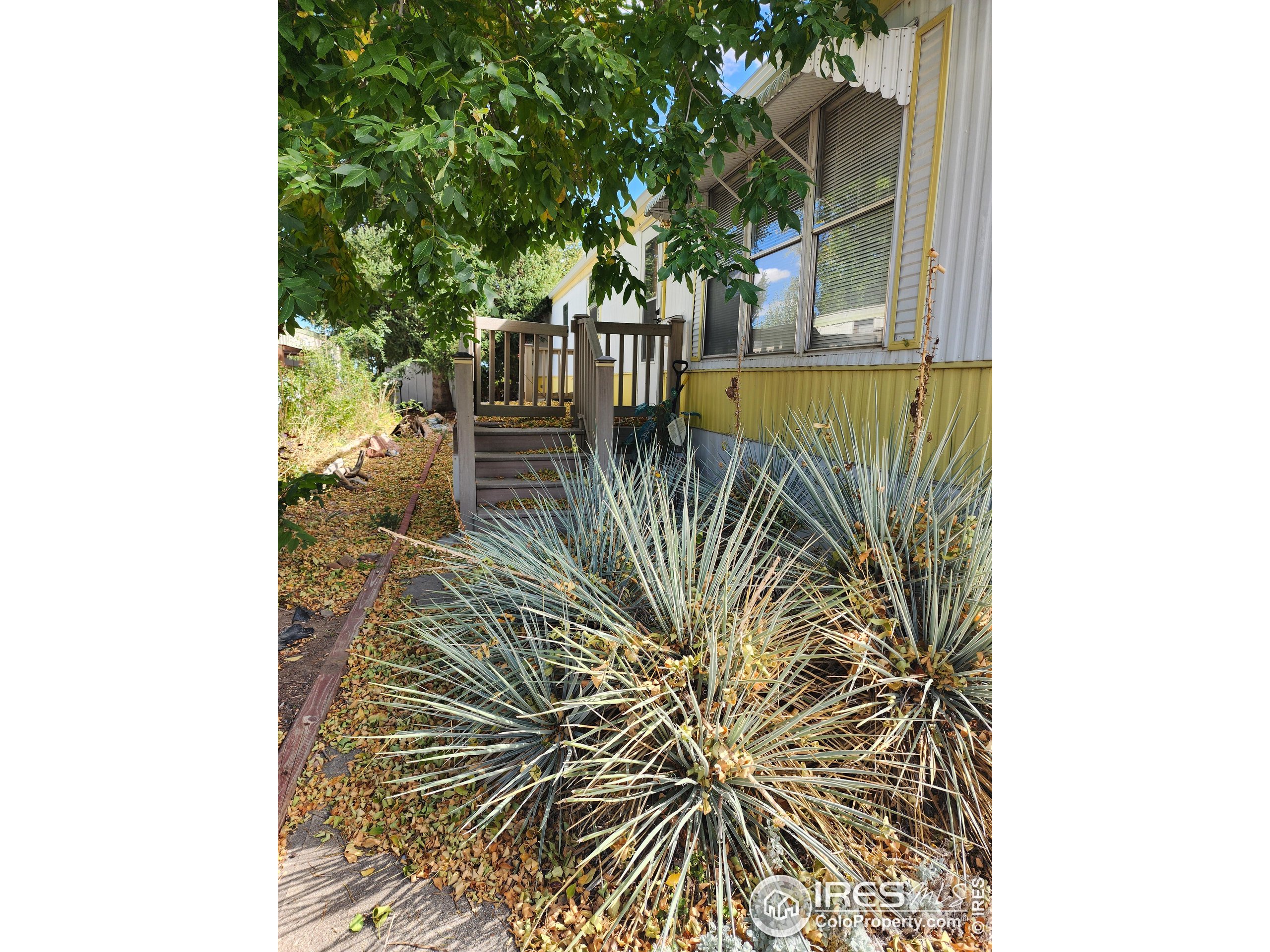 1400 S Collyer Street Longmont CO 80501