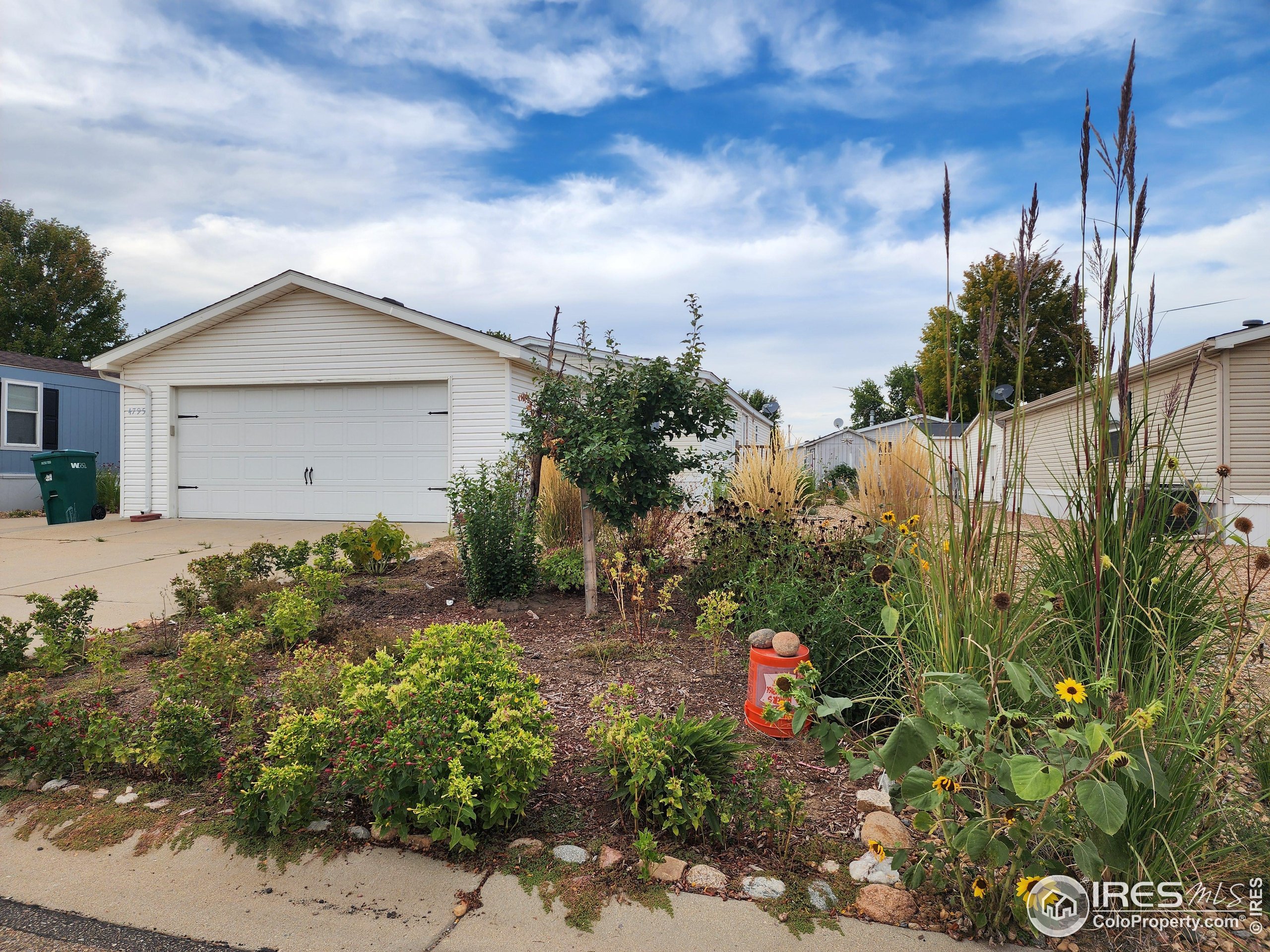 4795 Audrey Street Firestone CO 80504