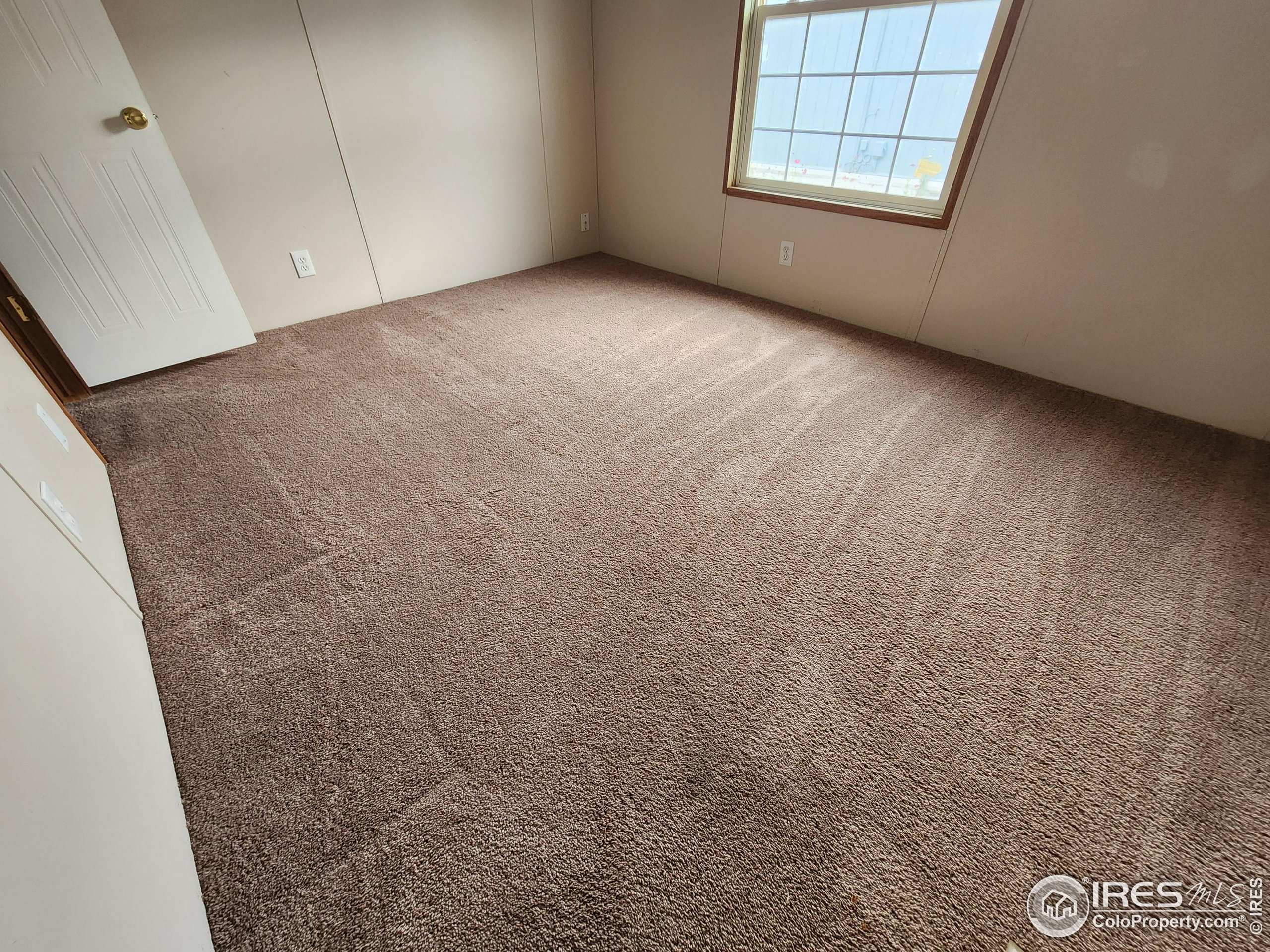 4795 Audrey Street Firestone CO 80504